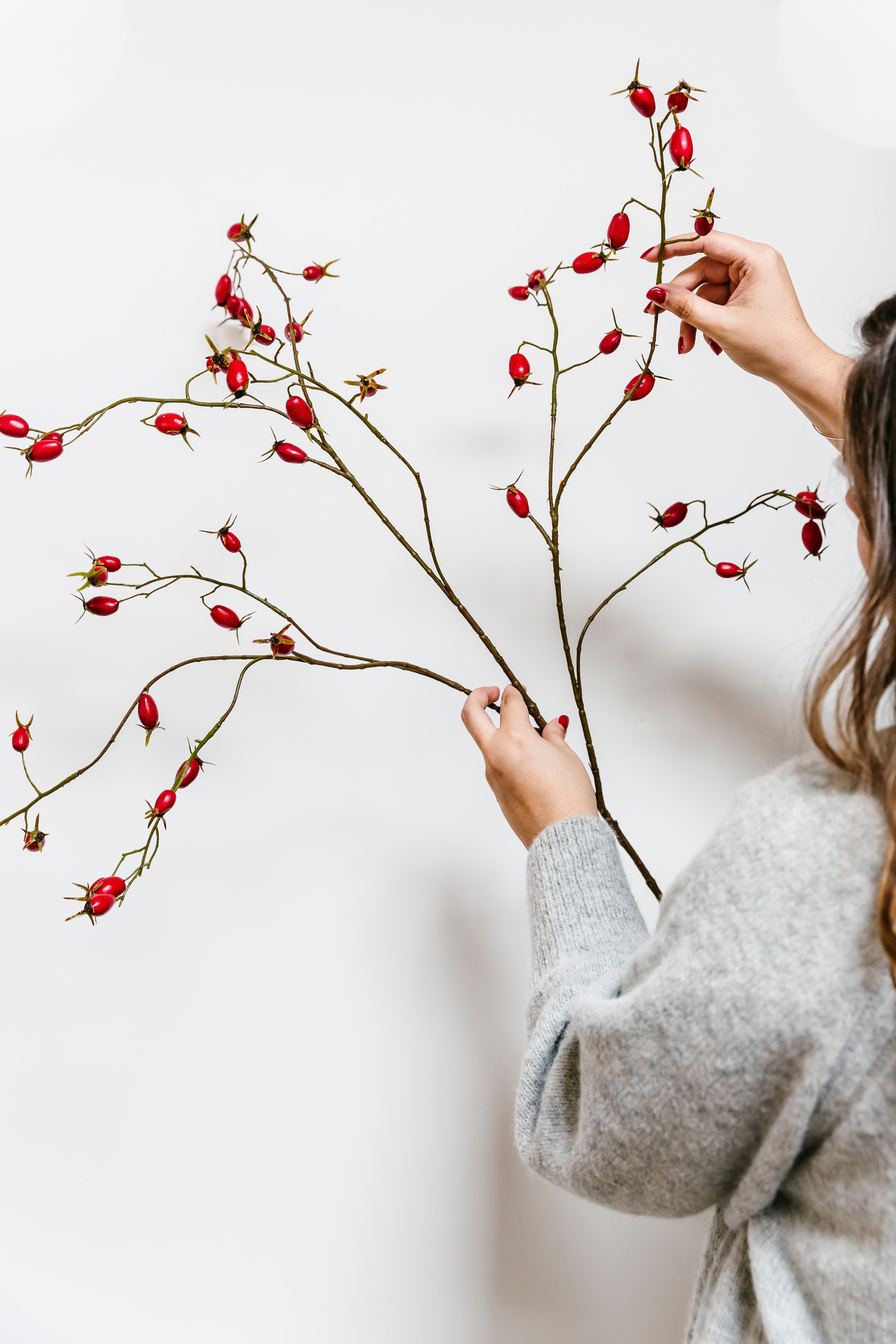 ROZENBOTTEL TAK ROOD - 106cm