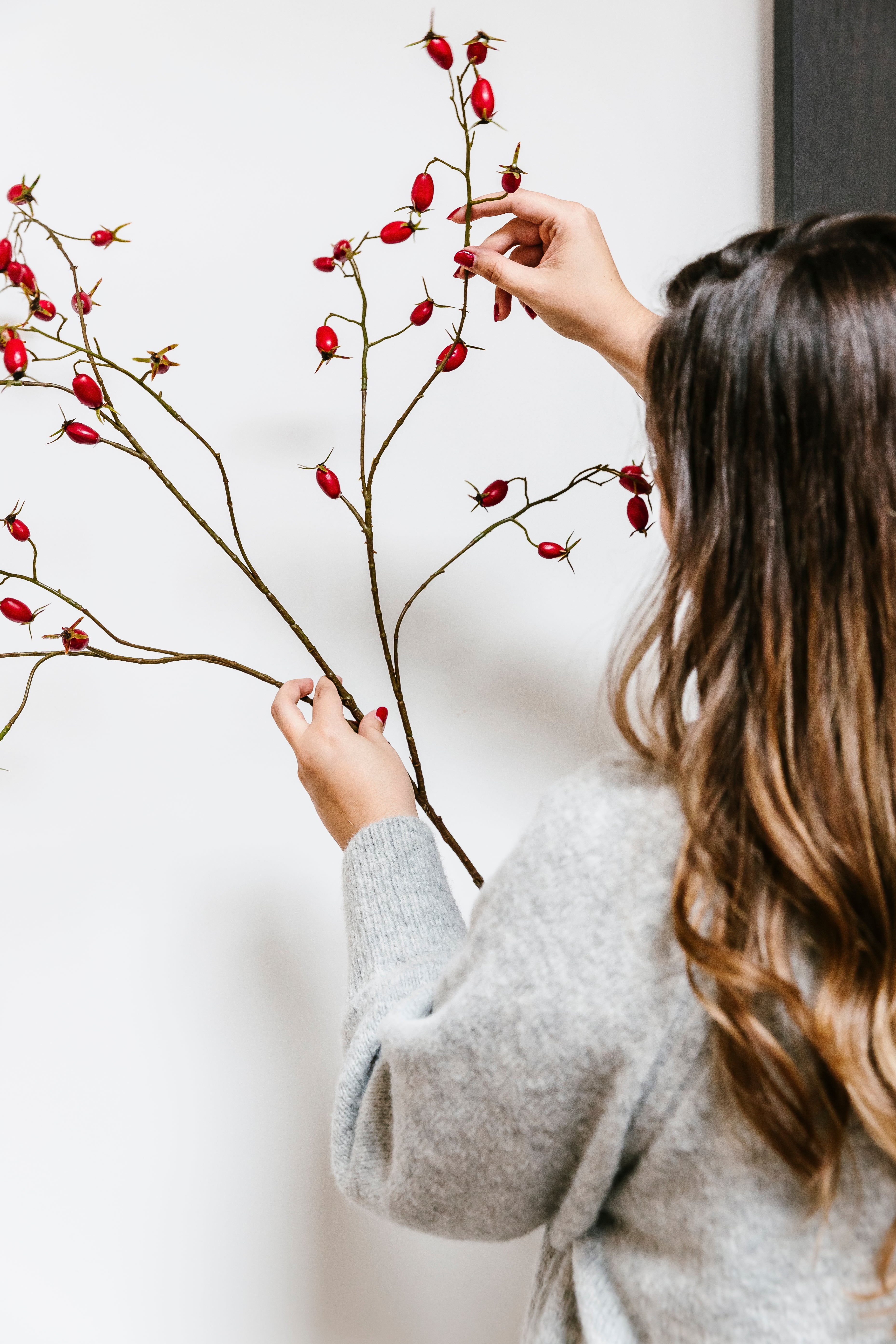 ROZENBOTTEL TAK ROOD - 106cm