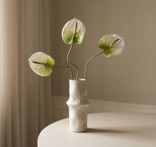 ANTHURIUM - Bloem
