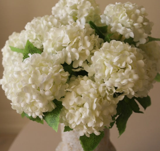 HORTENSIA MINI - Boeket