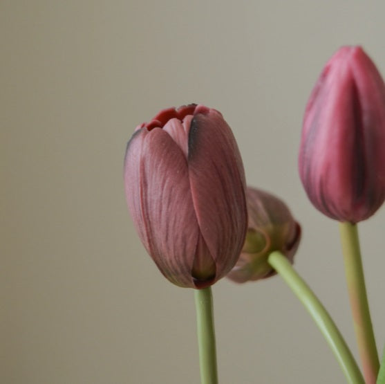 Tulpen Truimph - Boeket