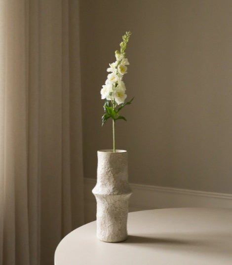Witte delphinium - Bloem