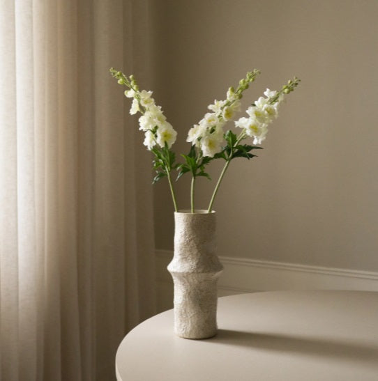 Witte delphinium - Bloem