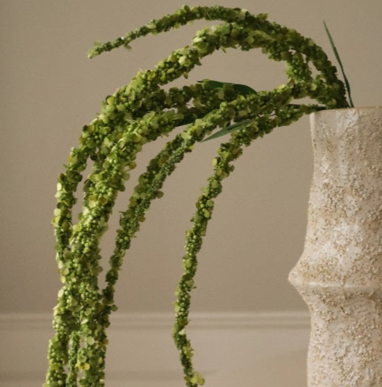 Driestelige Groene Amaranthus - Tak