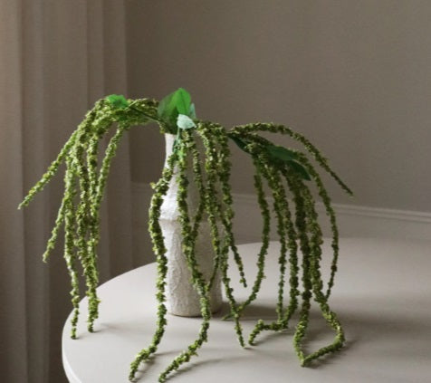 Driestelige Groene Amaranthus - Tak