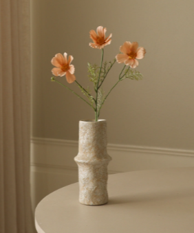 Cosmo Daisy - Bloem