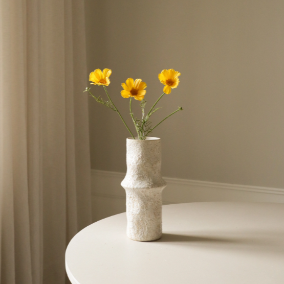 Cosmo Daisy - Bloem