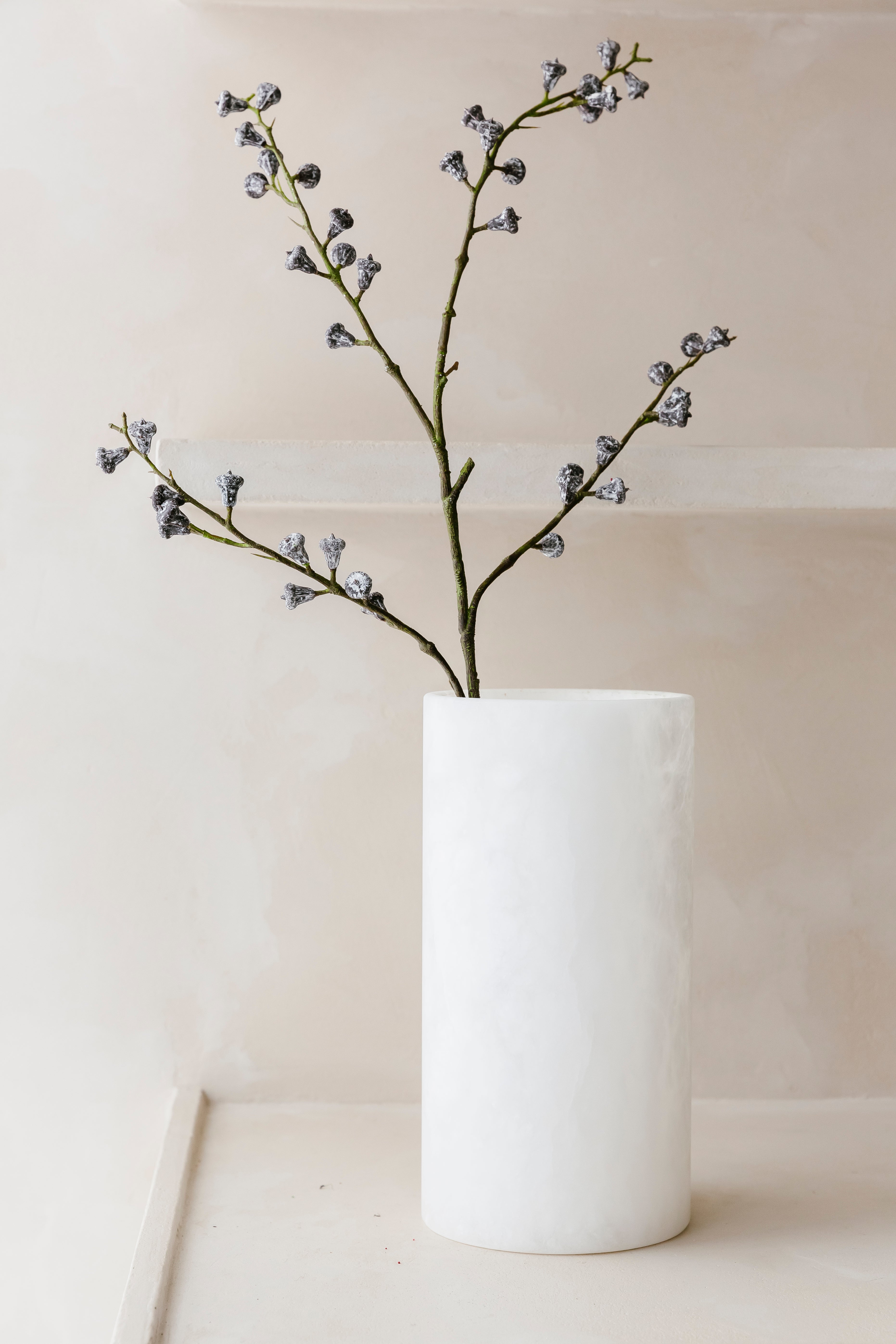 EUCALYPTUS BESSENTAK - Tak