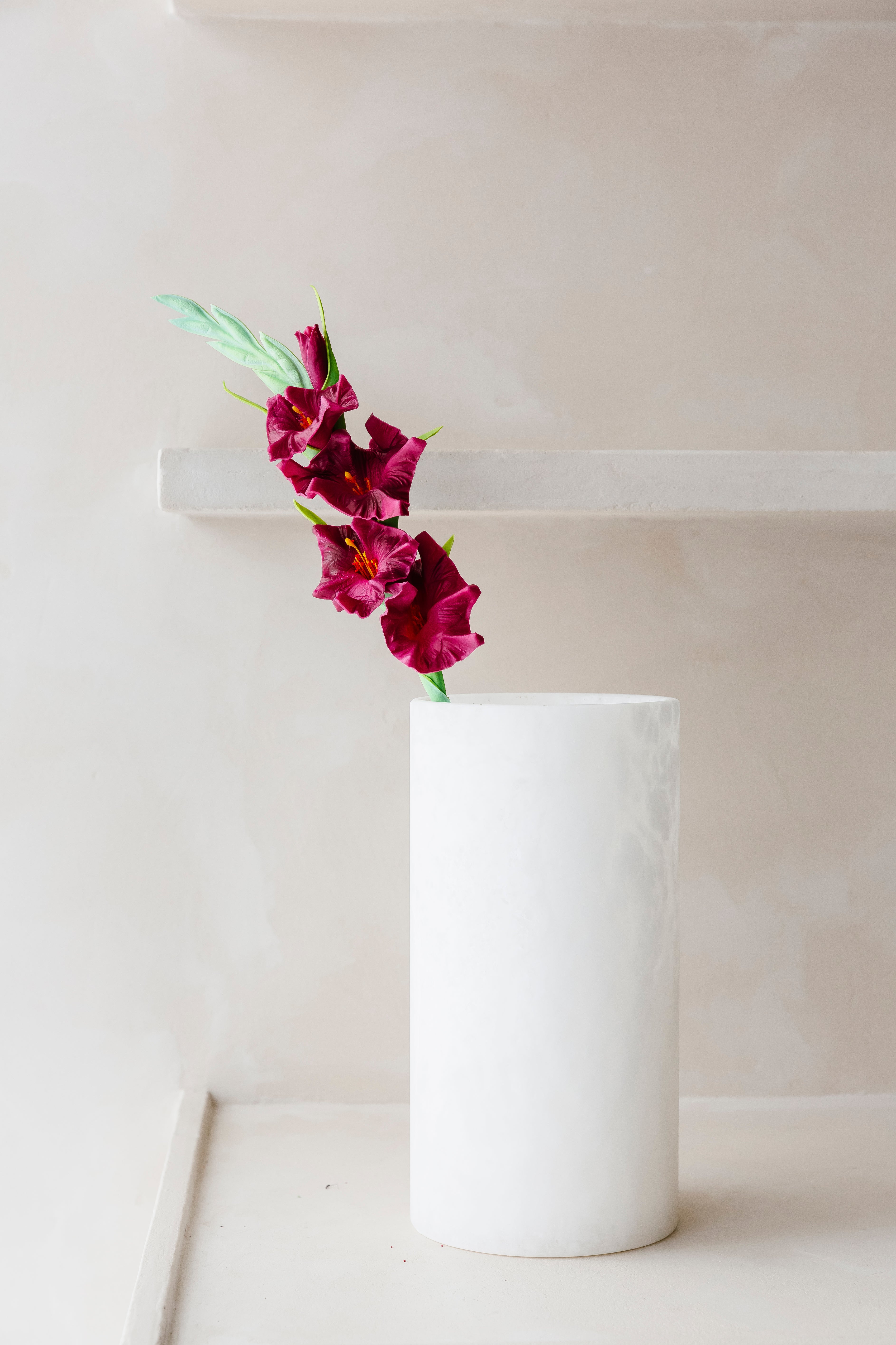 RODE GALDIOLUS - Bloem