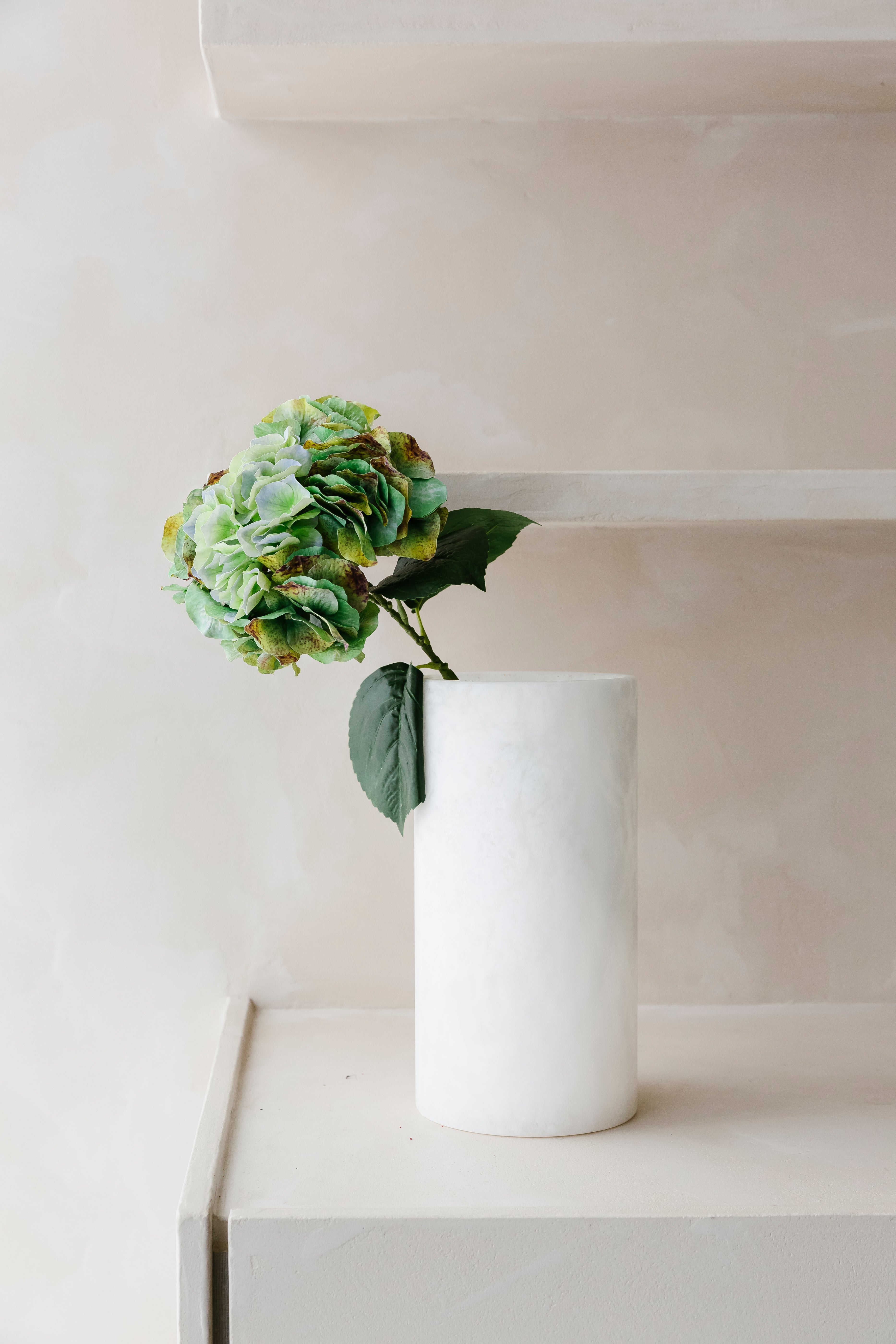 HORTENSIA - Olijfgoen