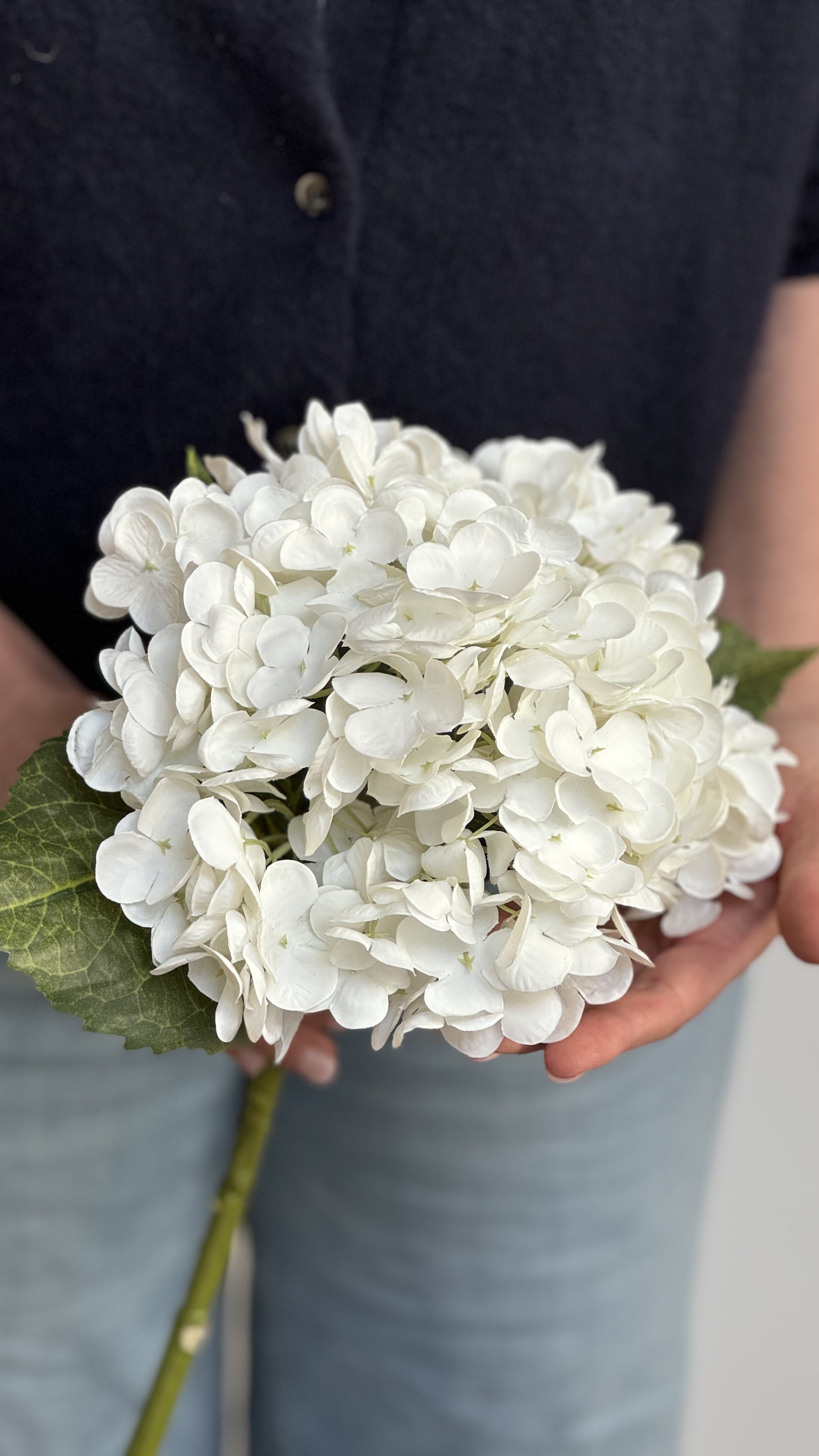 'FULL OF BLOOM' (12 stelen)