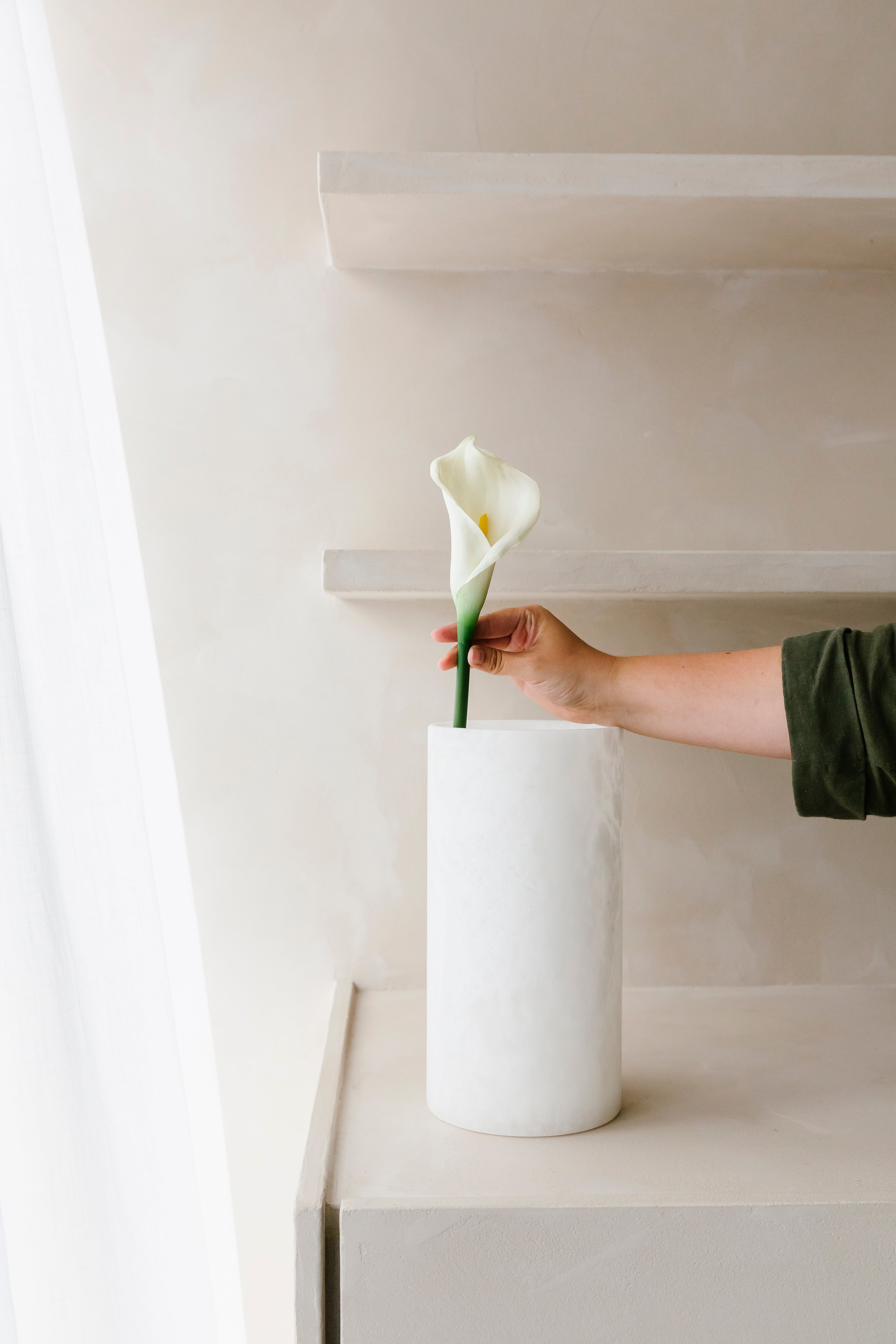 WITTE CALLA - Bloem