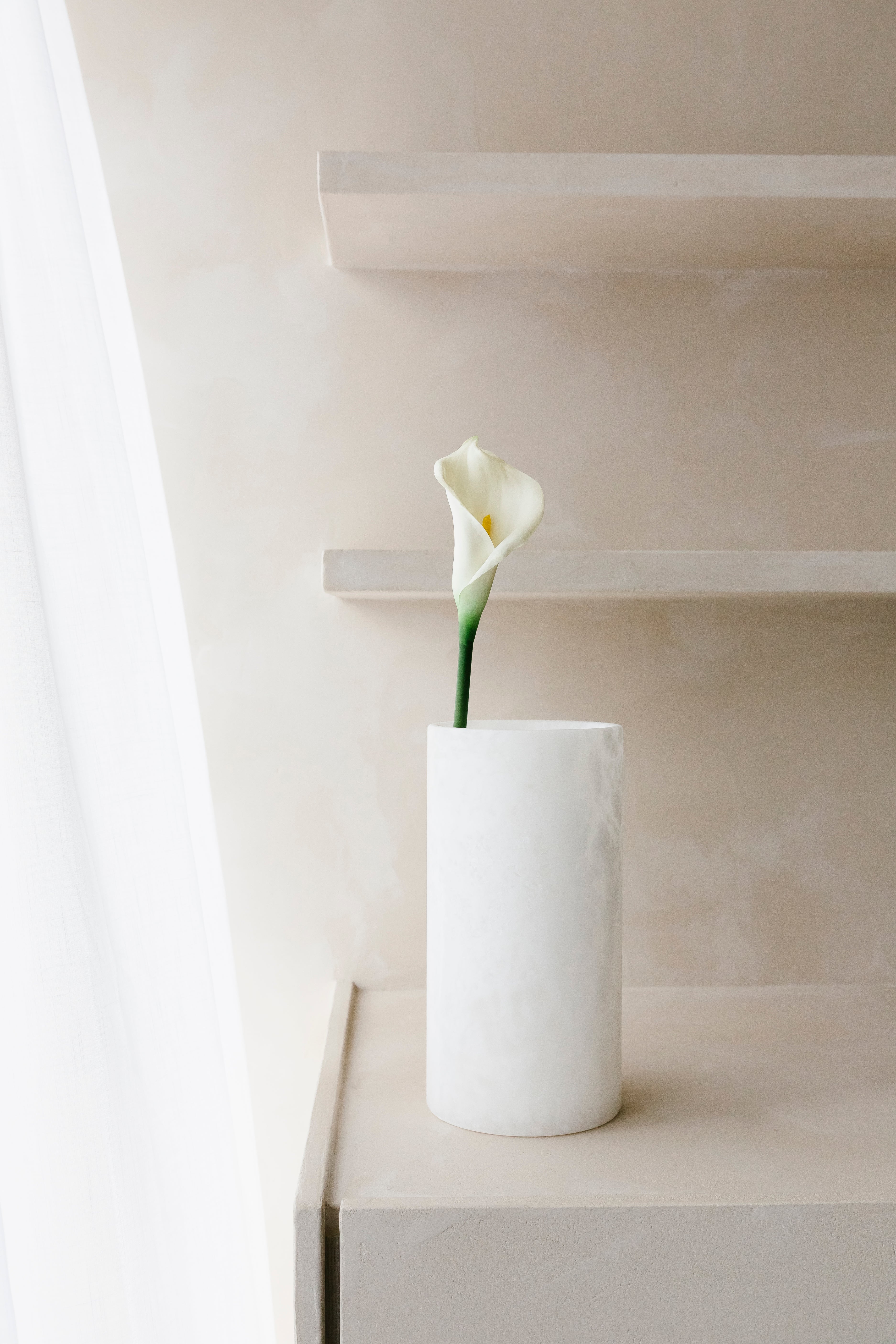 WITTE CALLA - Bloem