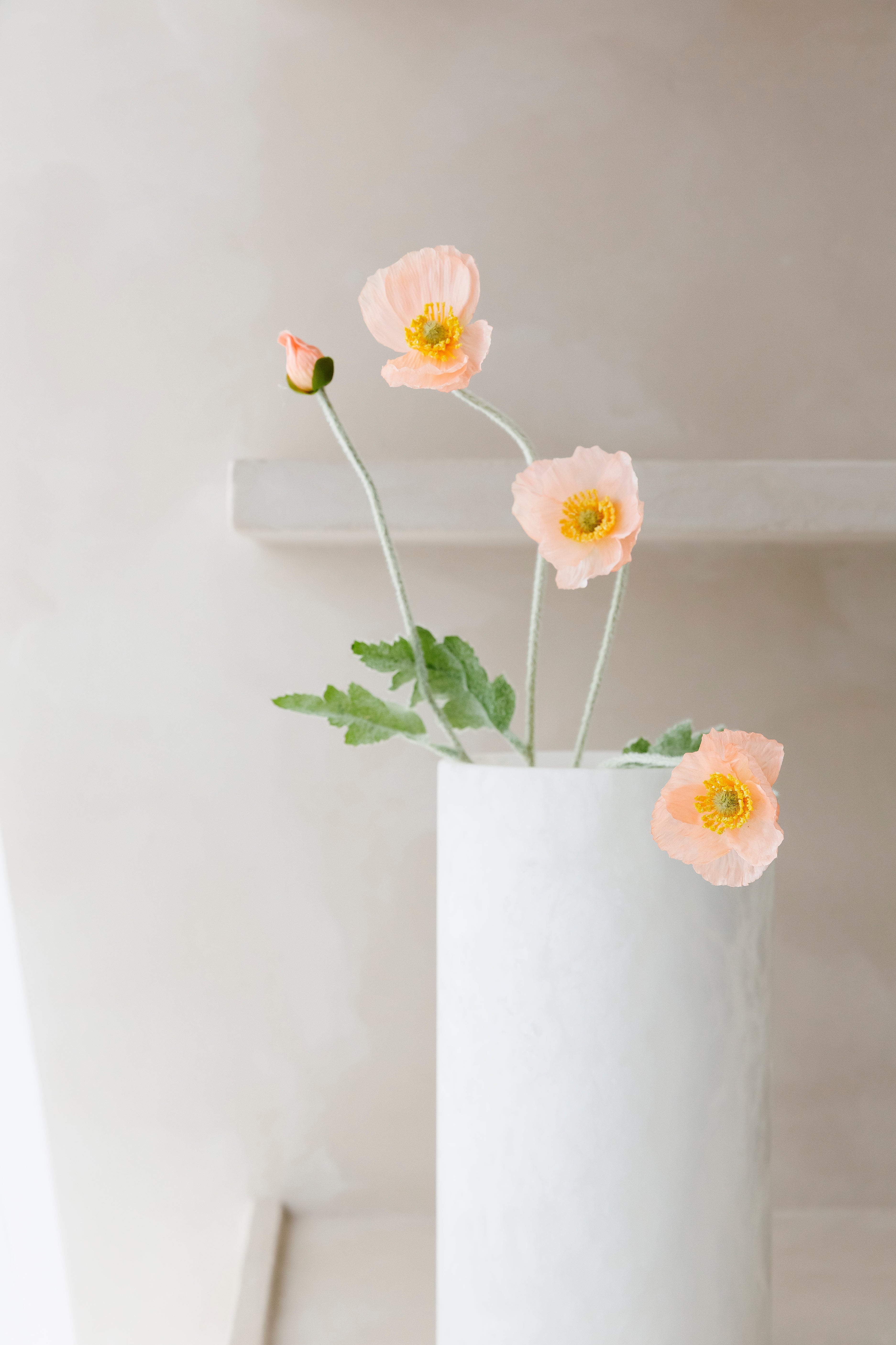 Poppy - Bloem