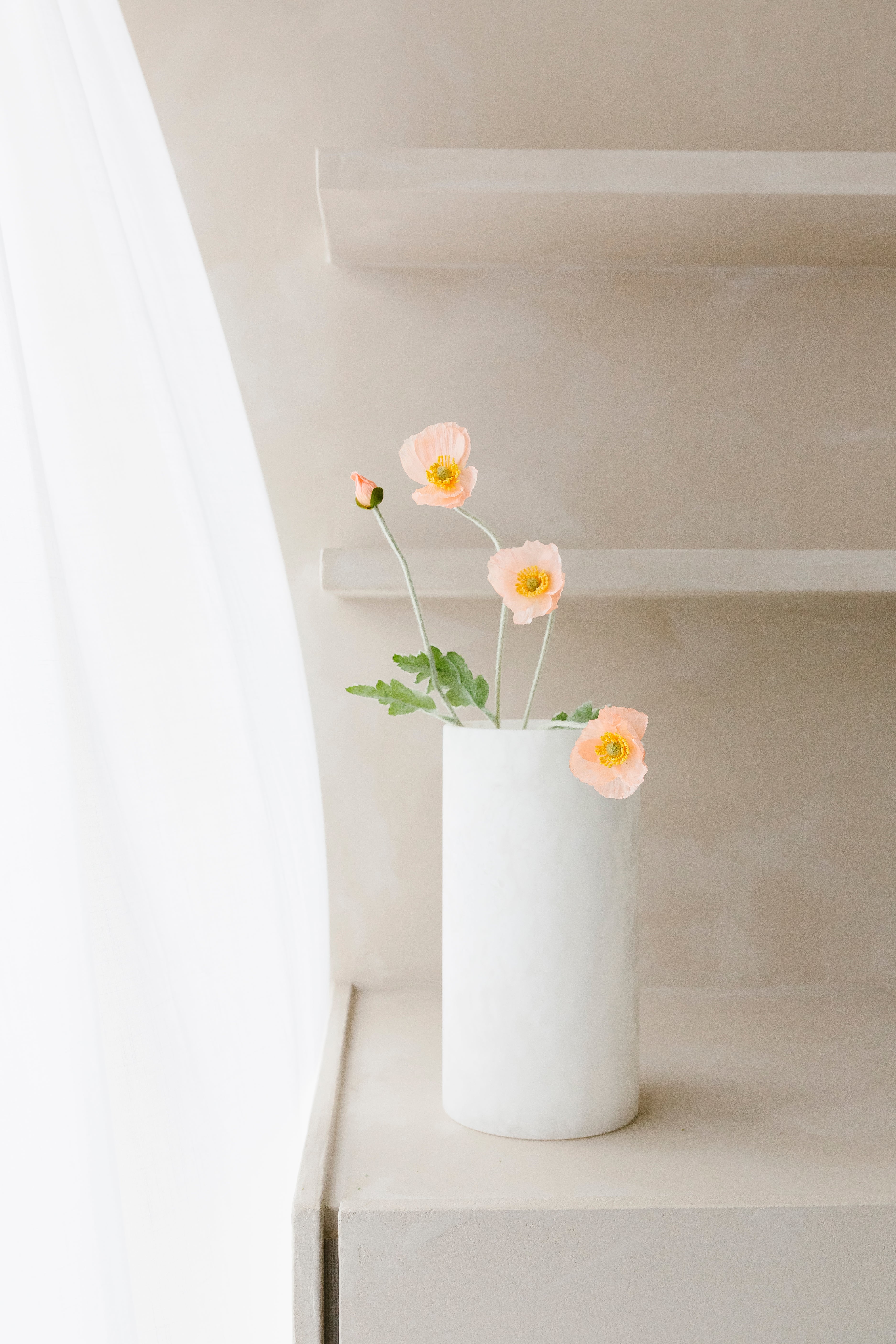 Poppy - Bloem