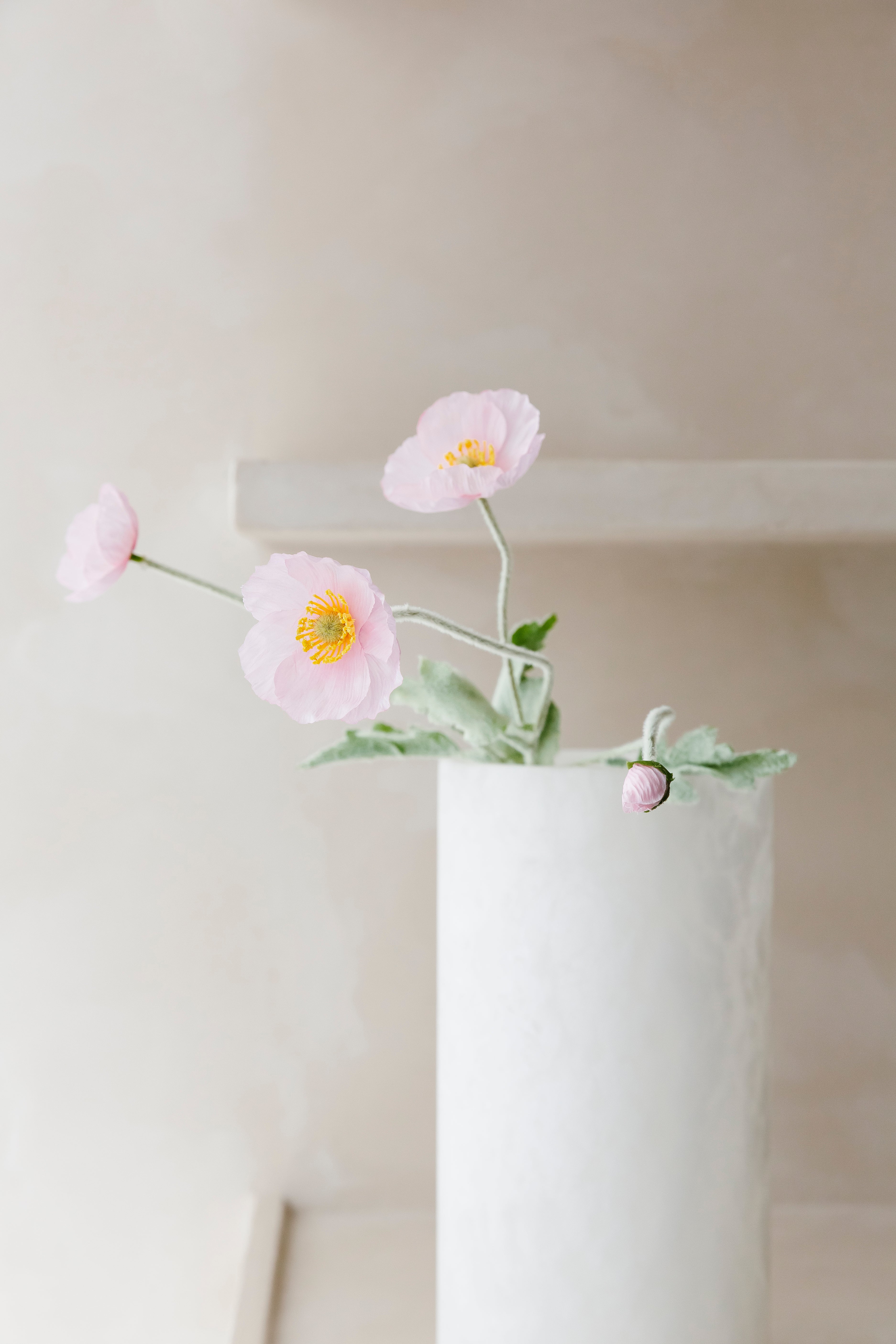 Poppy - Bloem