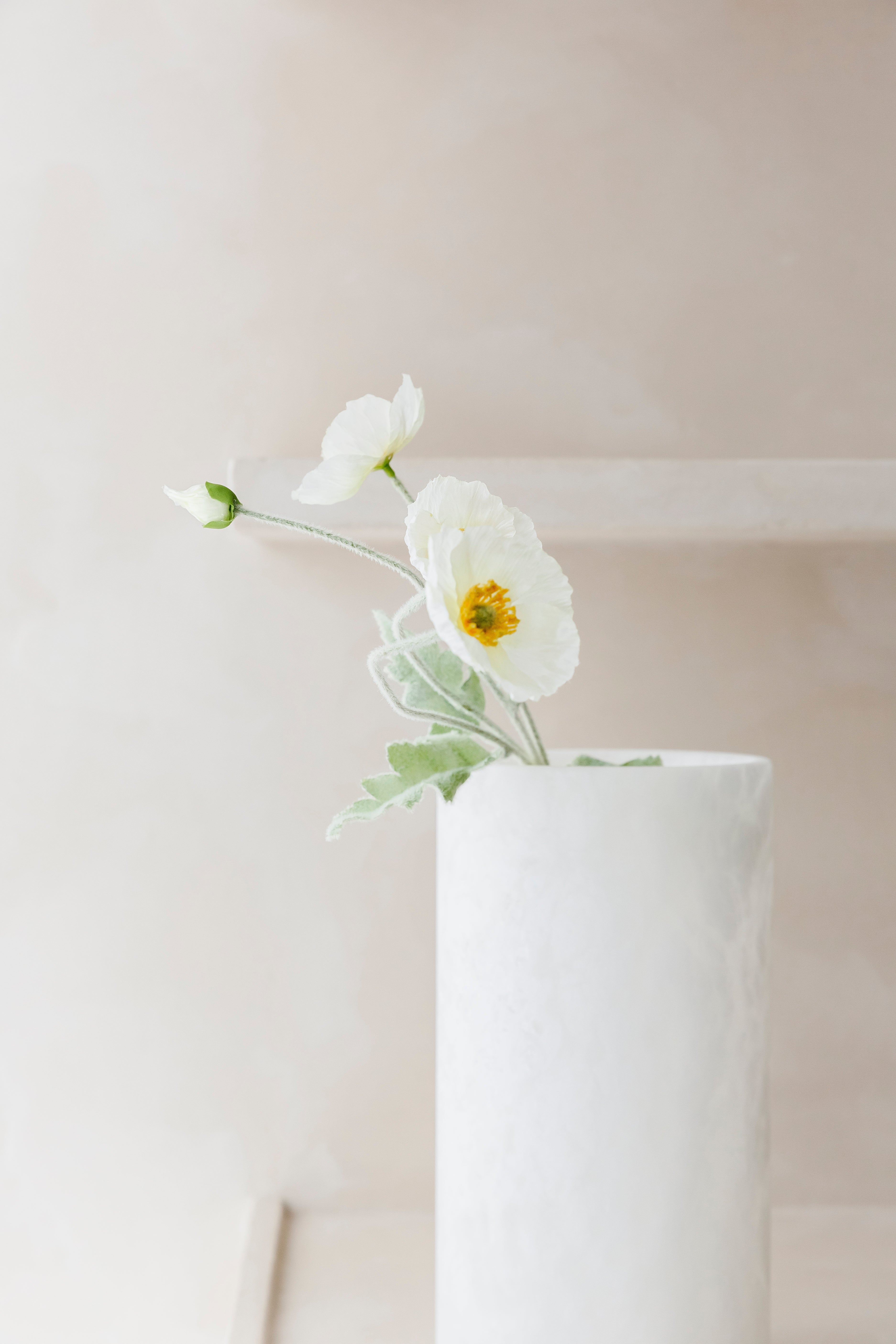 Poppy - Bloem