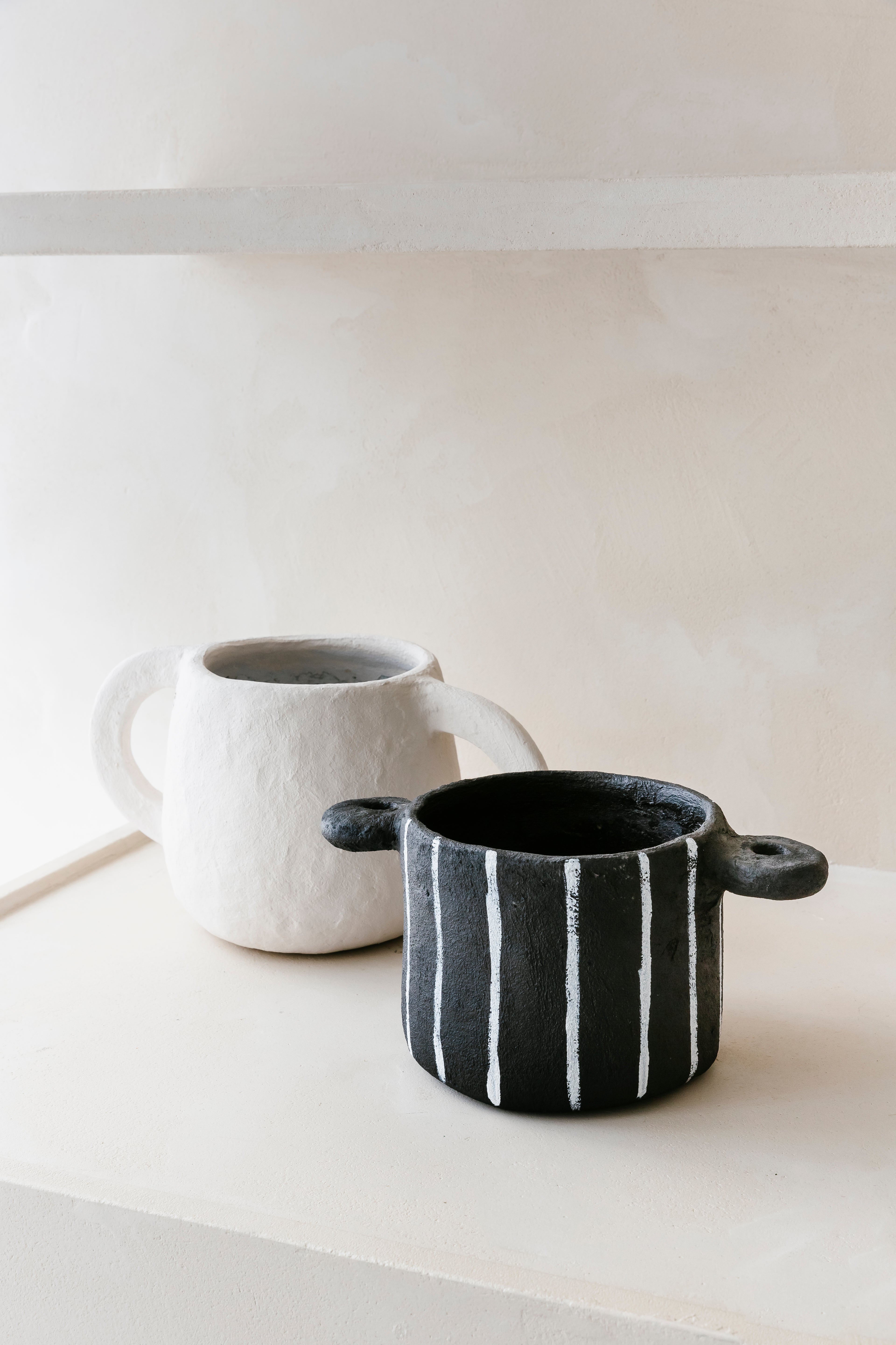 'BOLLIE & WRONG ZEBRA' set (2 st.)