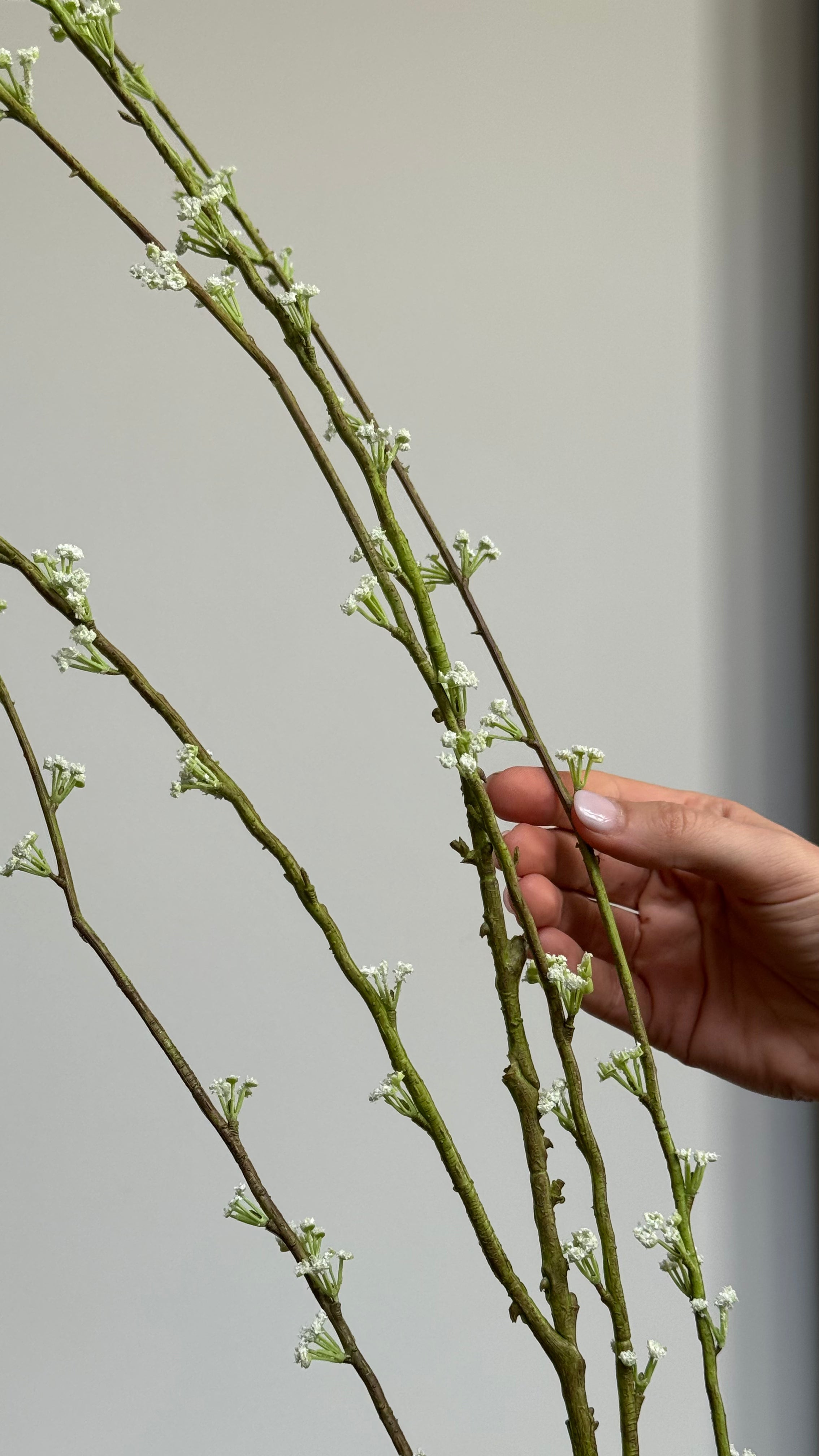 Close-up van de witte bloemetjes van de Spirea kunsttak van Silka