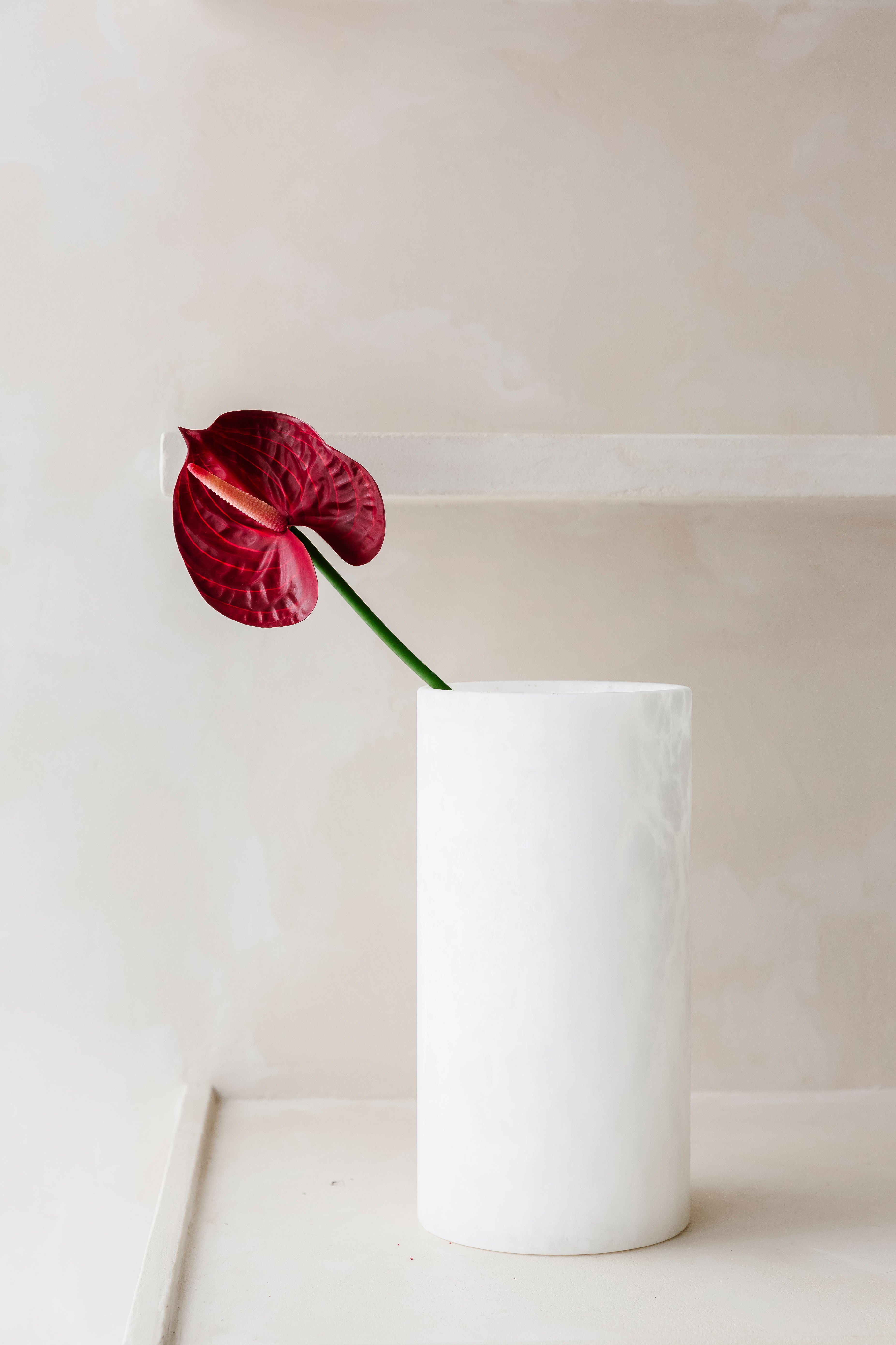 ANTHURIUM ROOD - Bloem