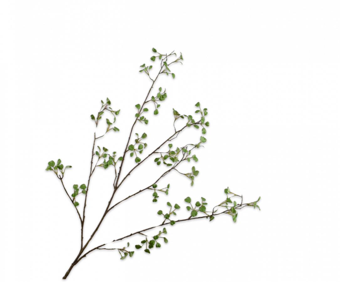 BLADTAK GROEN