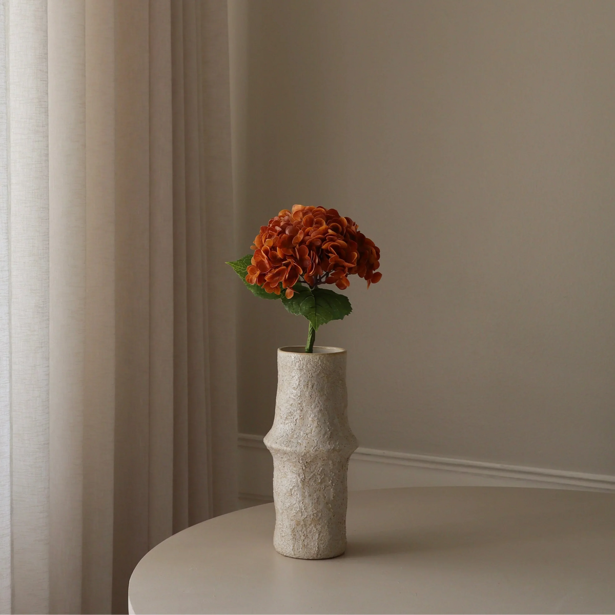 HORTENSIA - Bloem