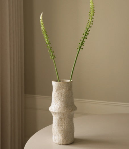 WITTE ACTAEA RACEMOSA "Fairy Candle" - Tak