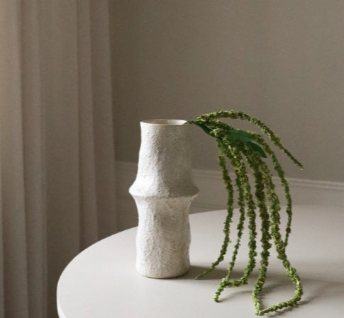 Driestelige Groene Amaranthus - Tak