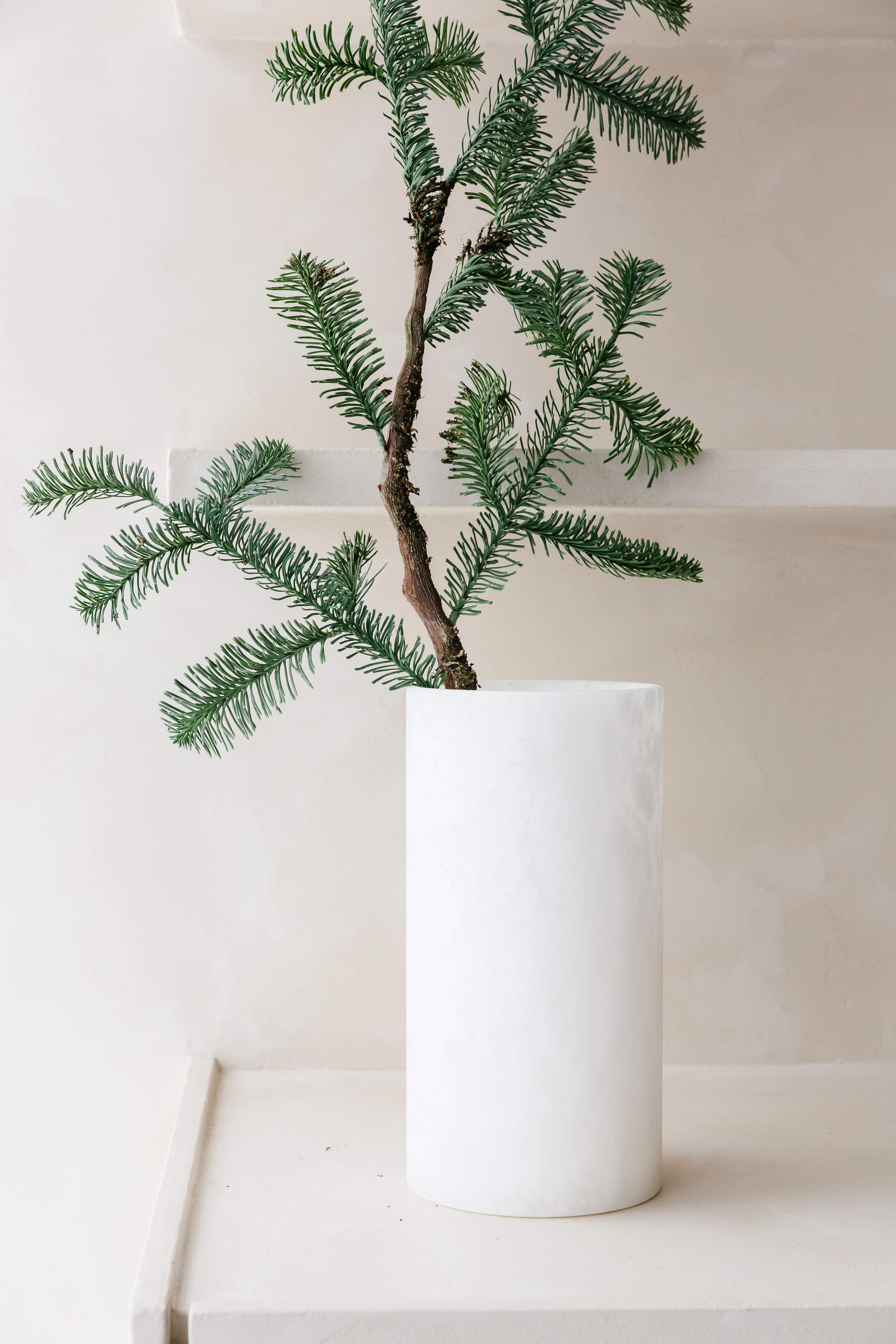 DENNENNAALDTAK - Tak