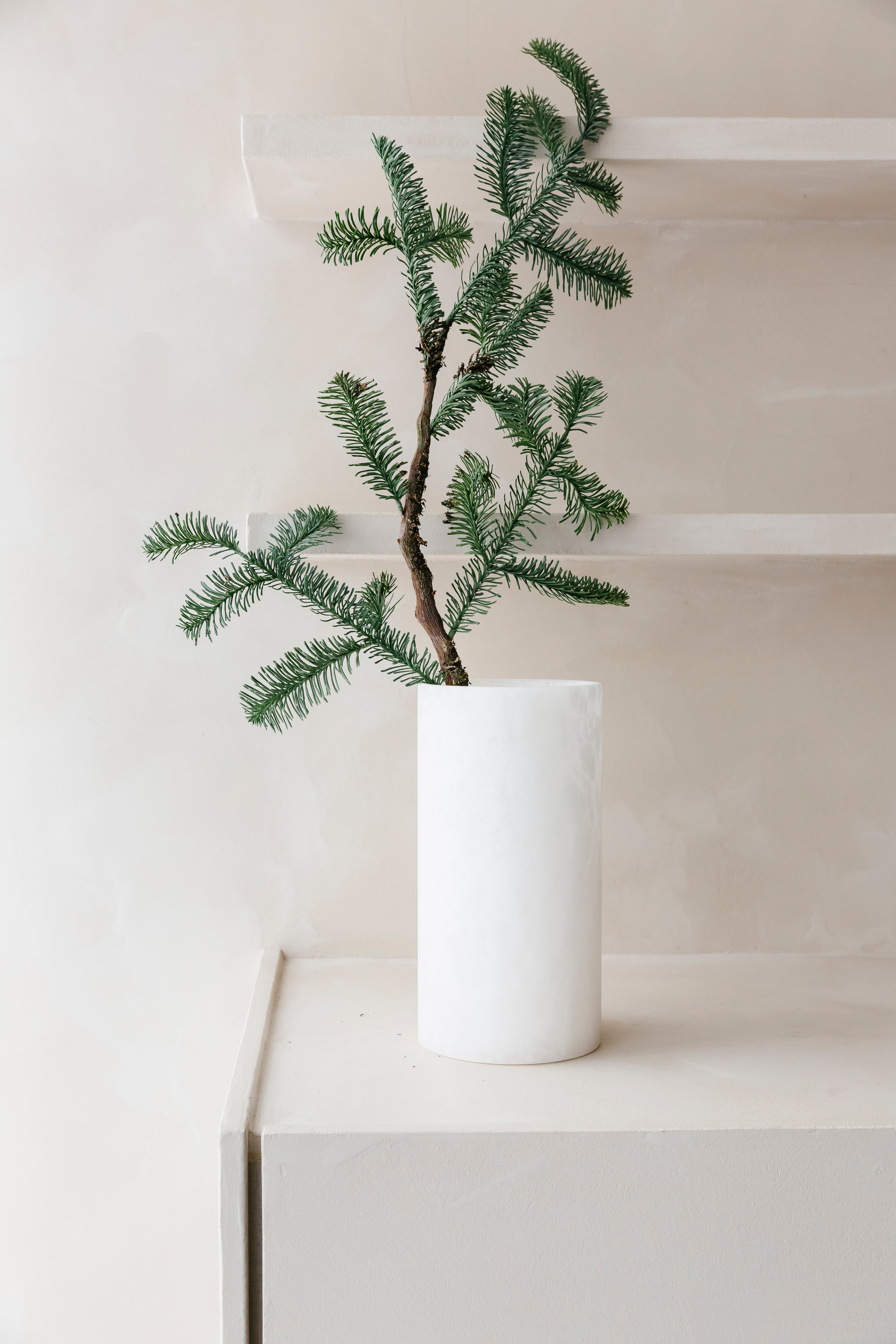 DENNENNAALDTAK - Tak