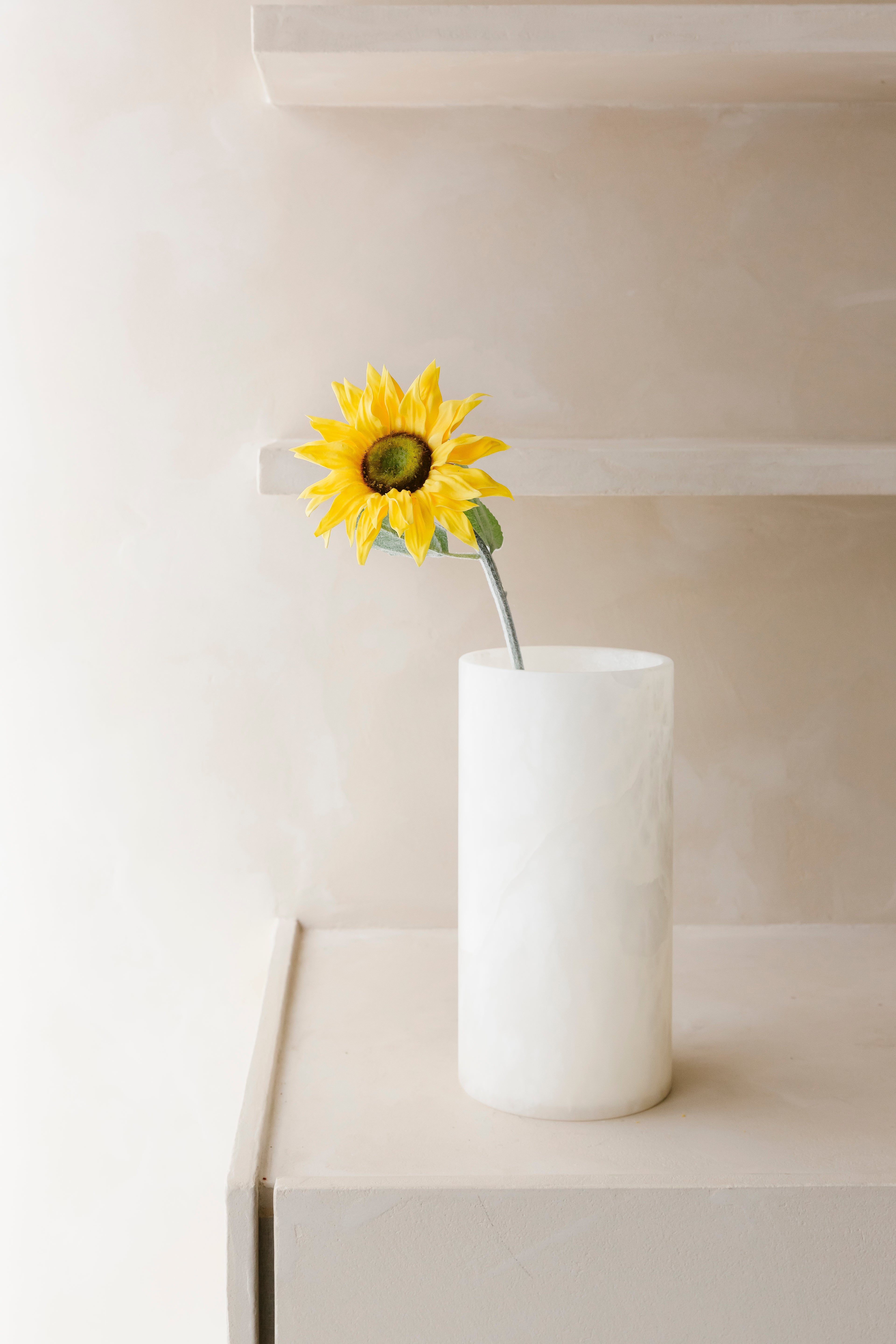 GELE ZONNEBLOEM  - Bloem