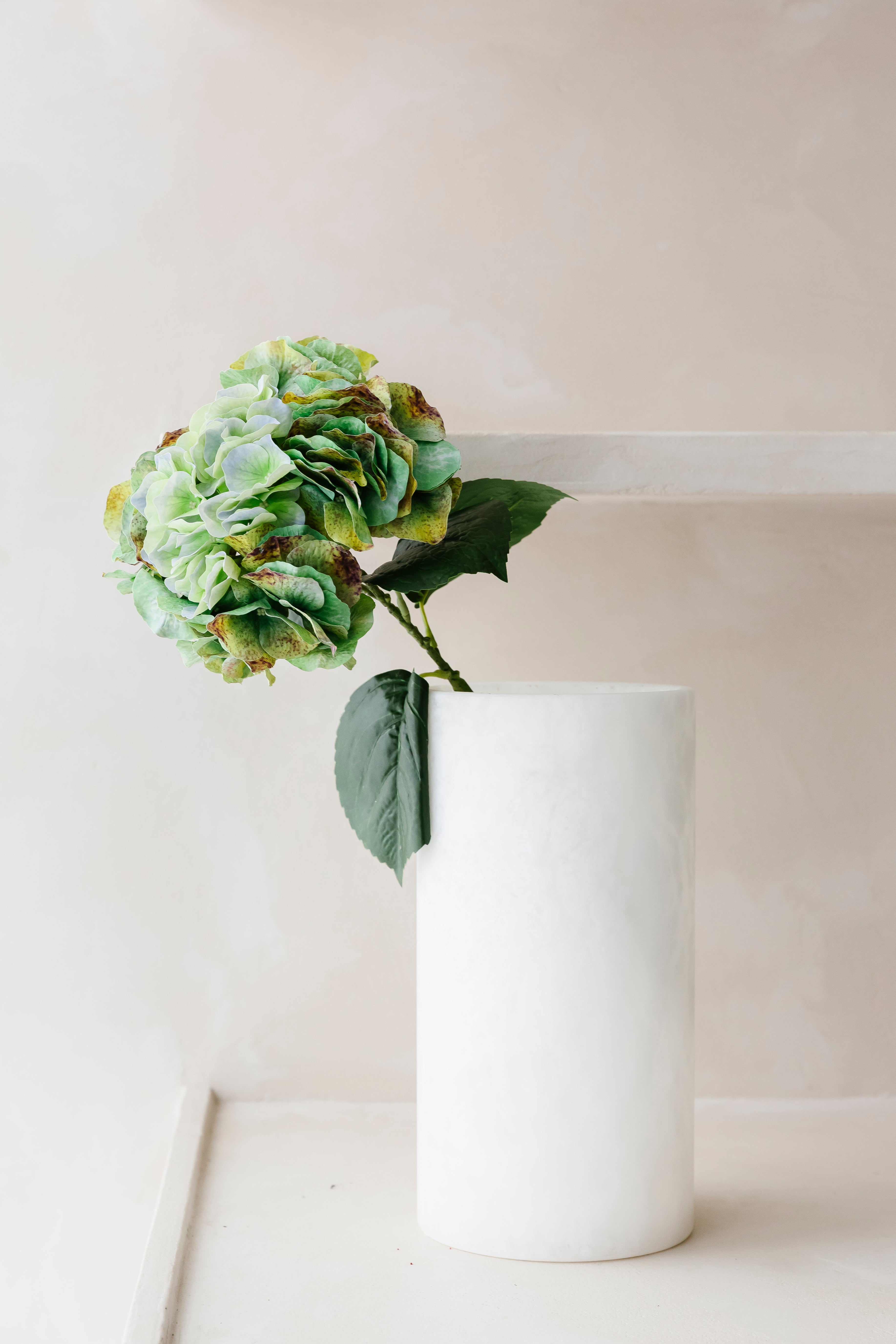 HORTENSIA - Olijfgoen