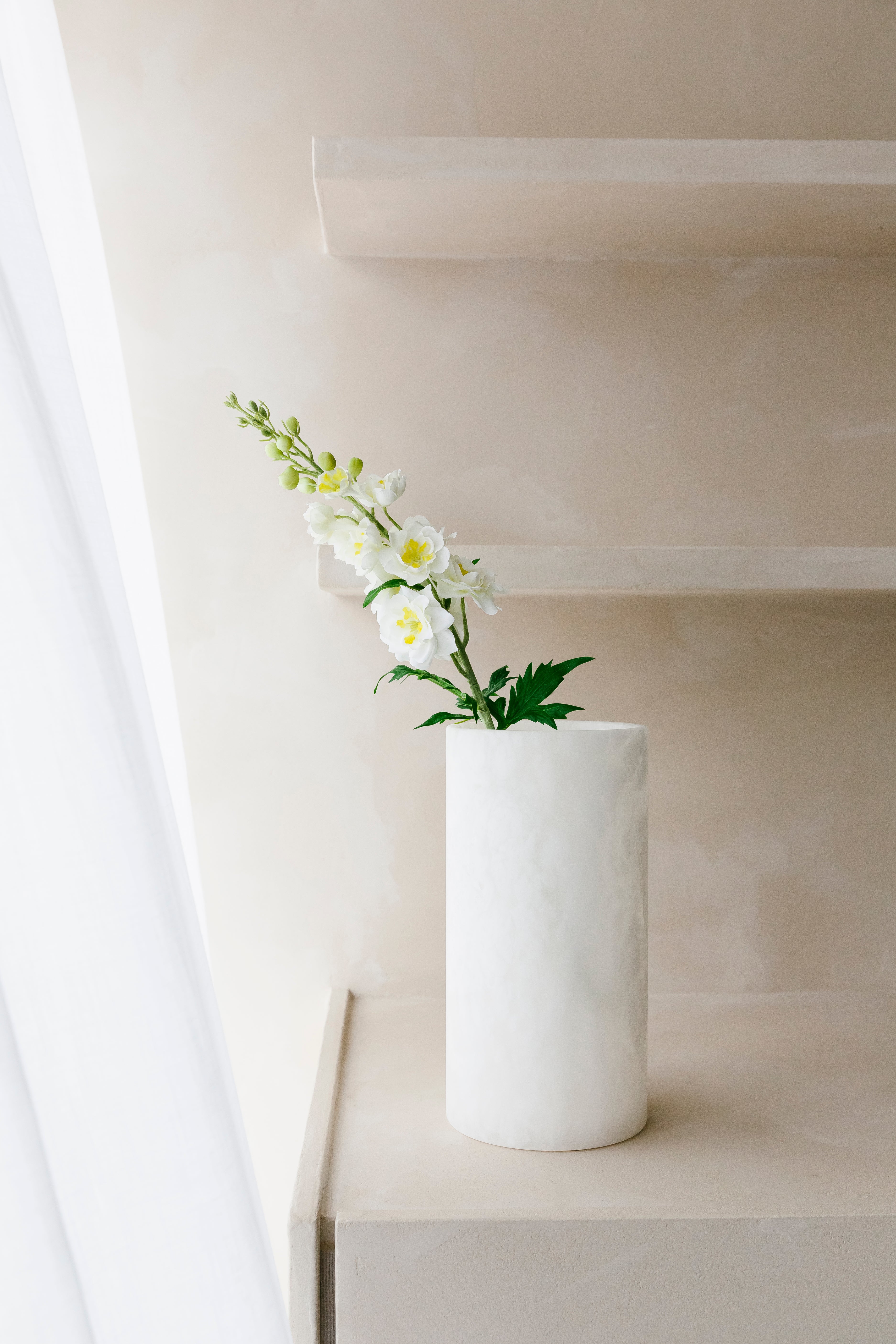 Witte delphinium  - Bloem