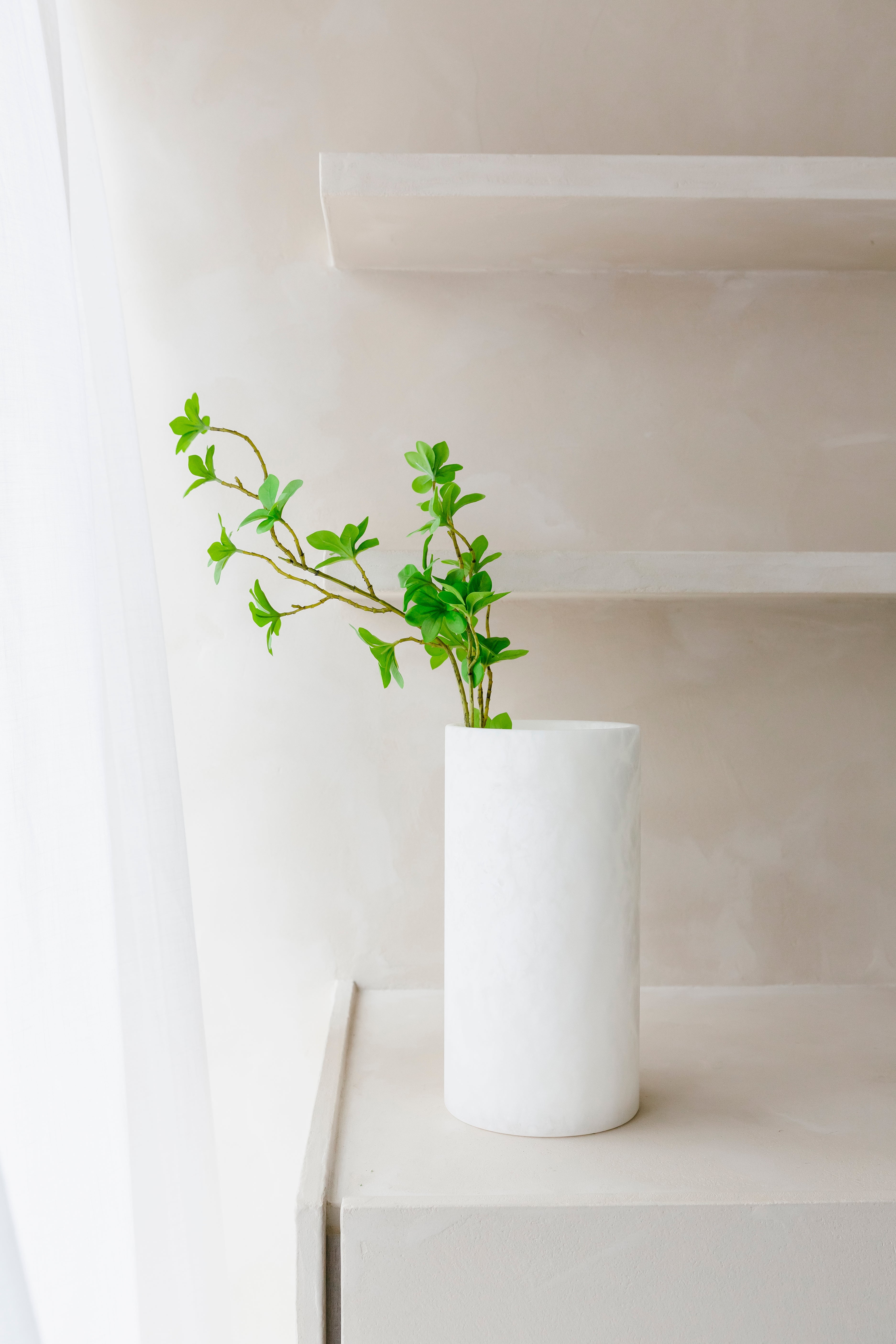 ENKIANTHUS PERULATUS - Tak
