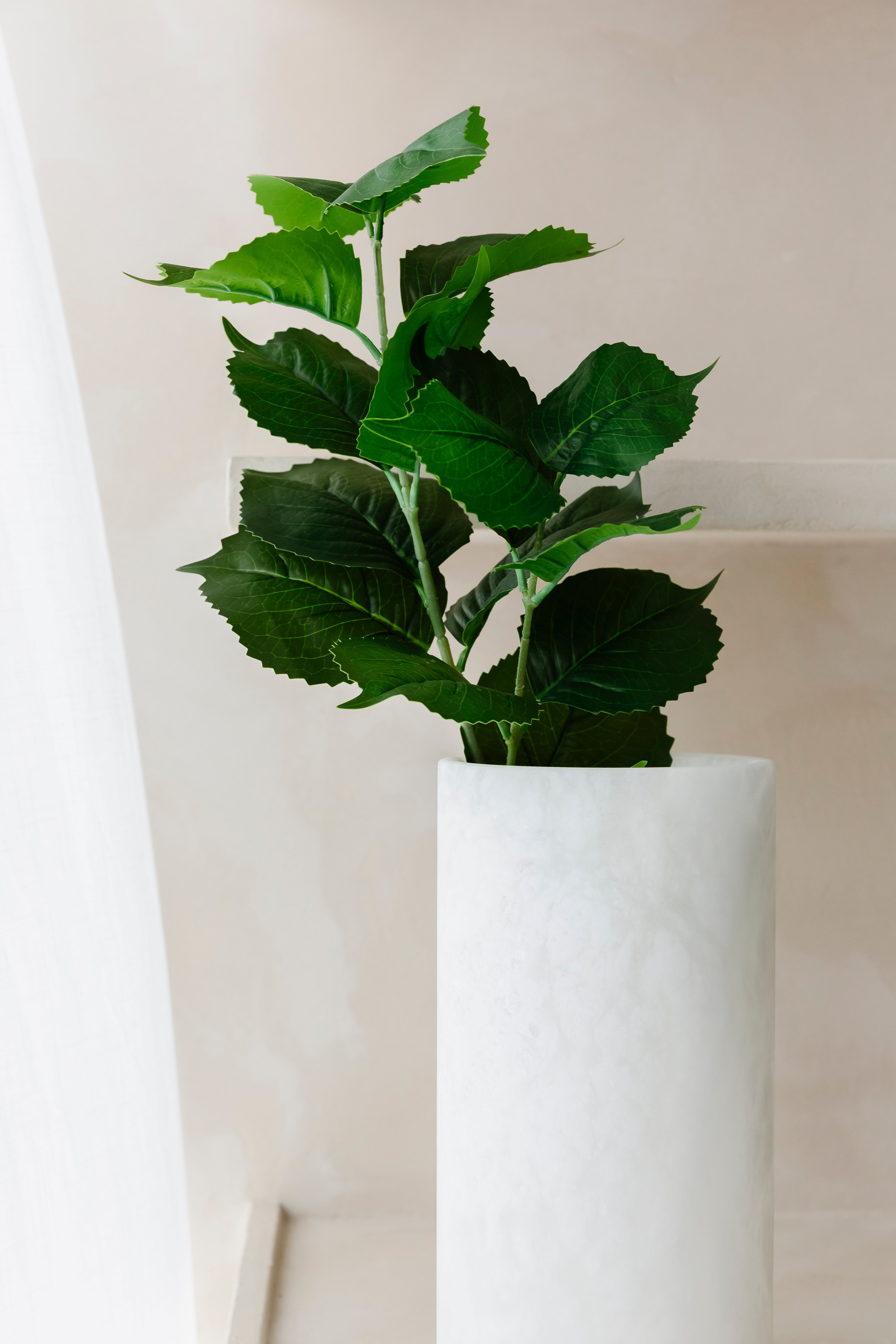 HORTENSIA BLAD - Tak