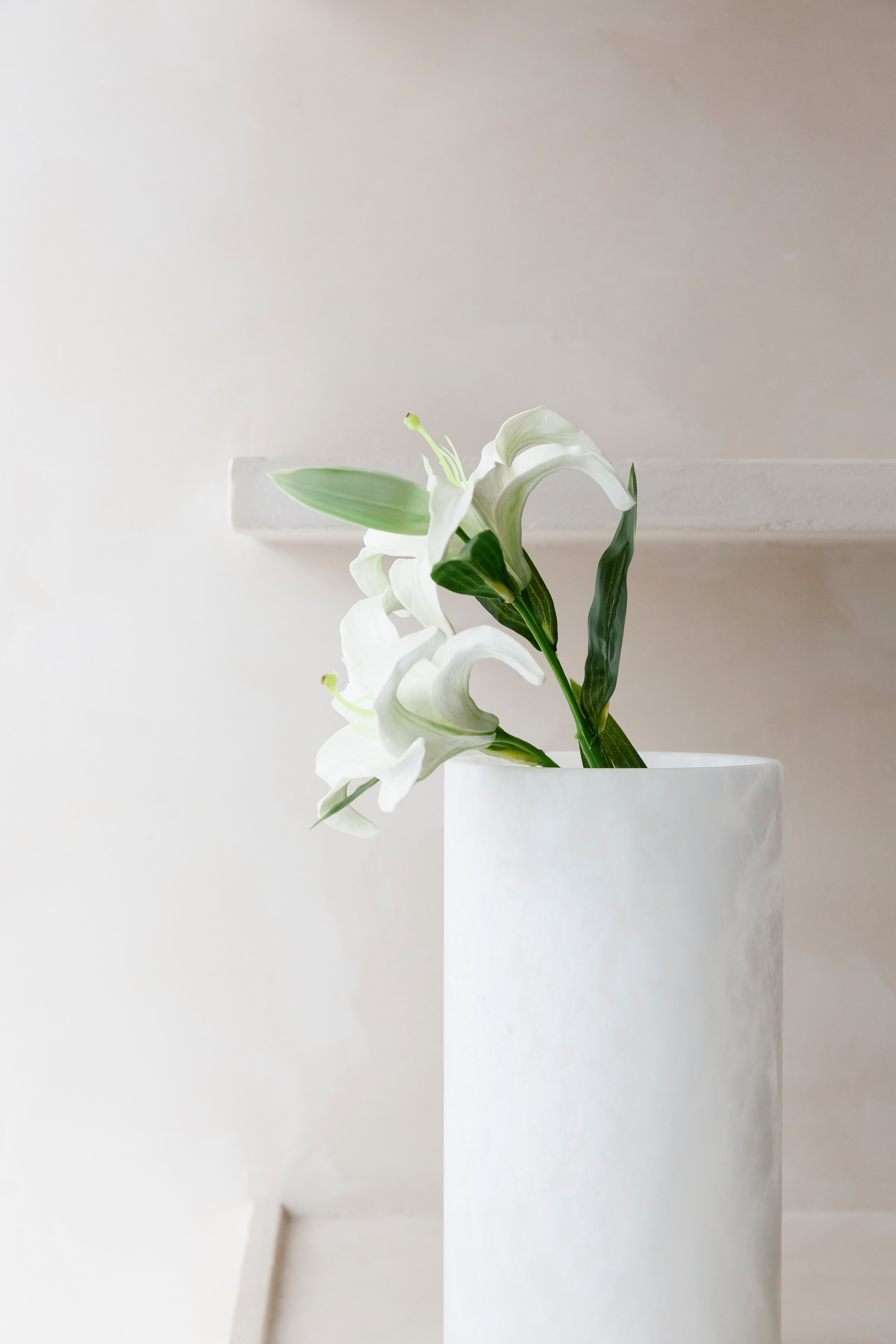 WITTE LELLIE - Bloem