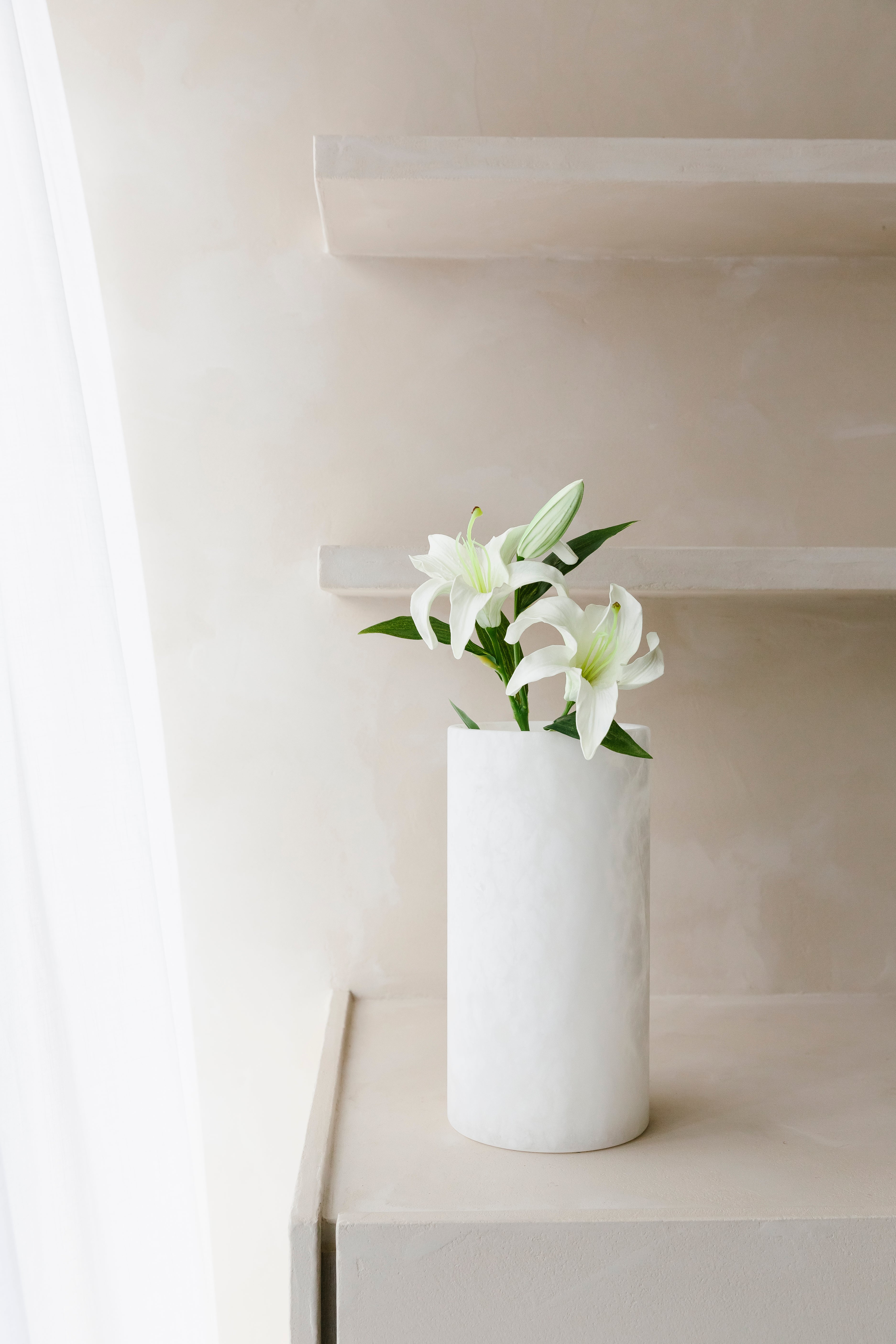 WITTE LELLIE - Bloem