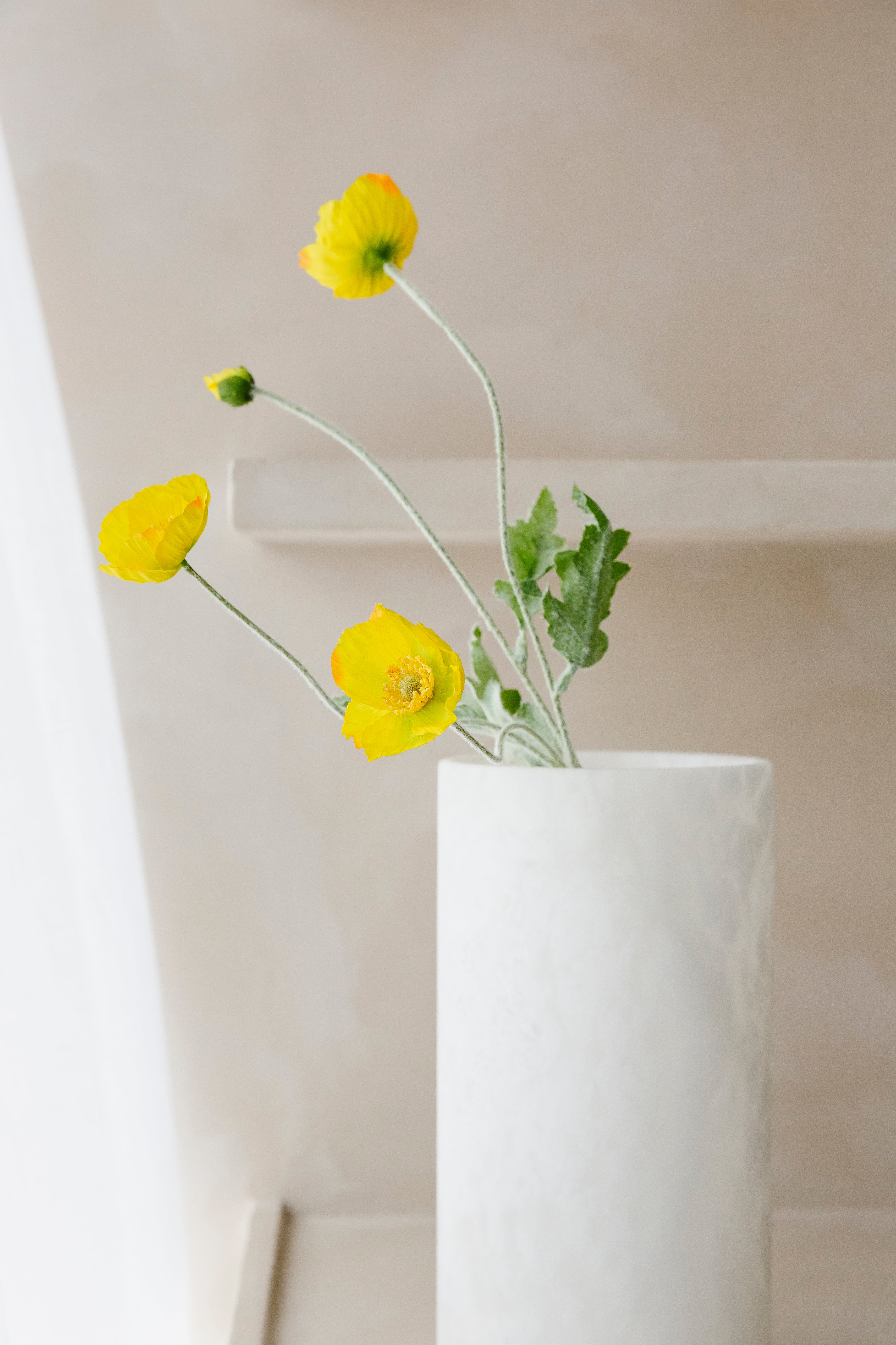 Poppy - Bloem