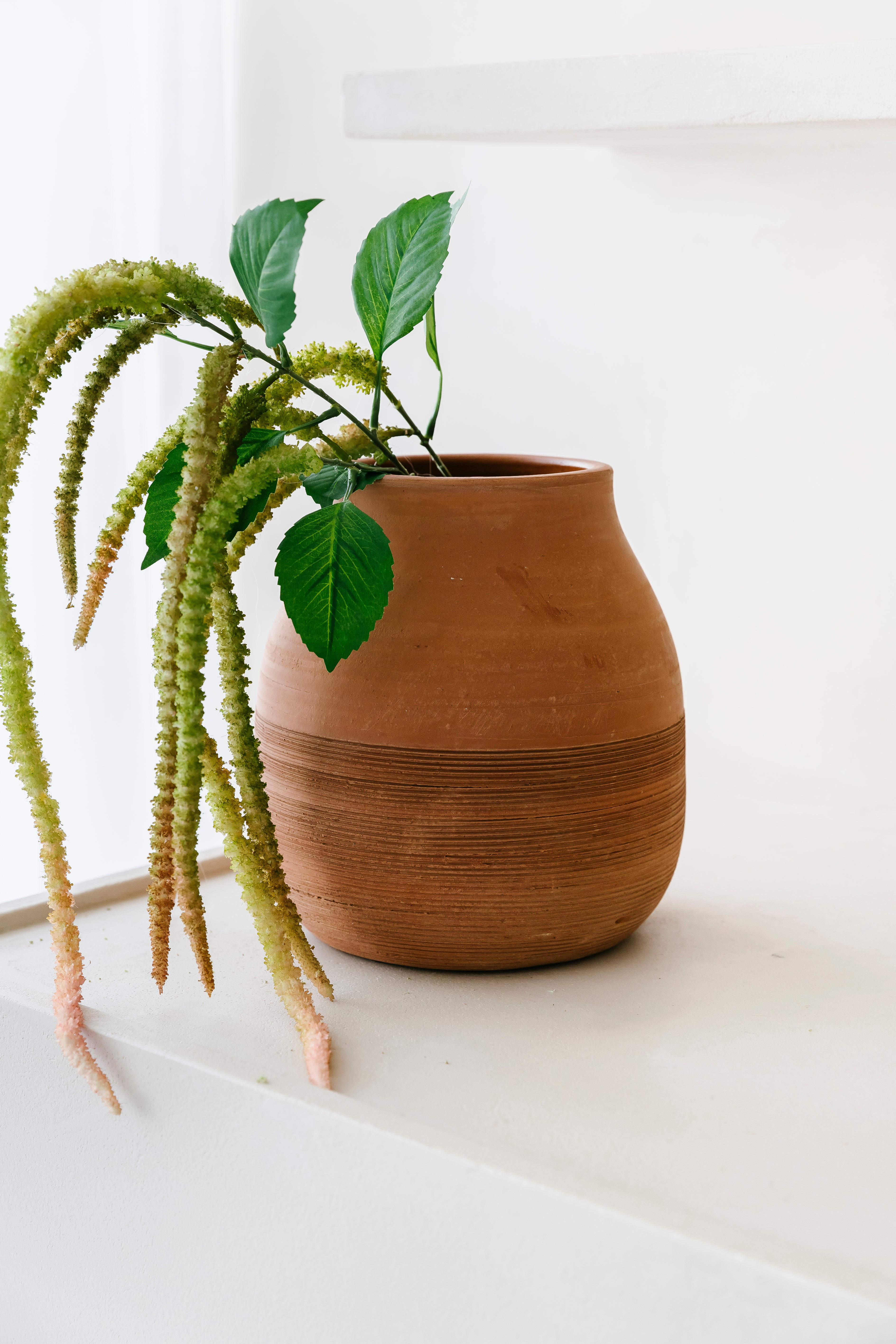 TERRACINA - Pot