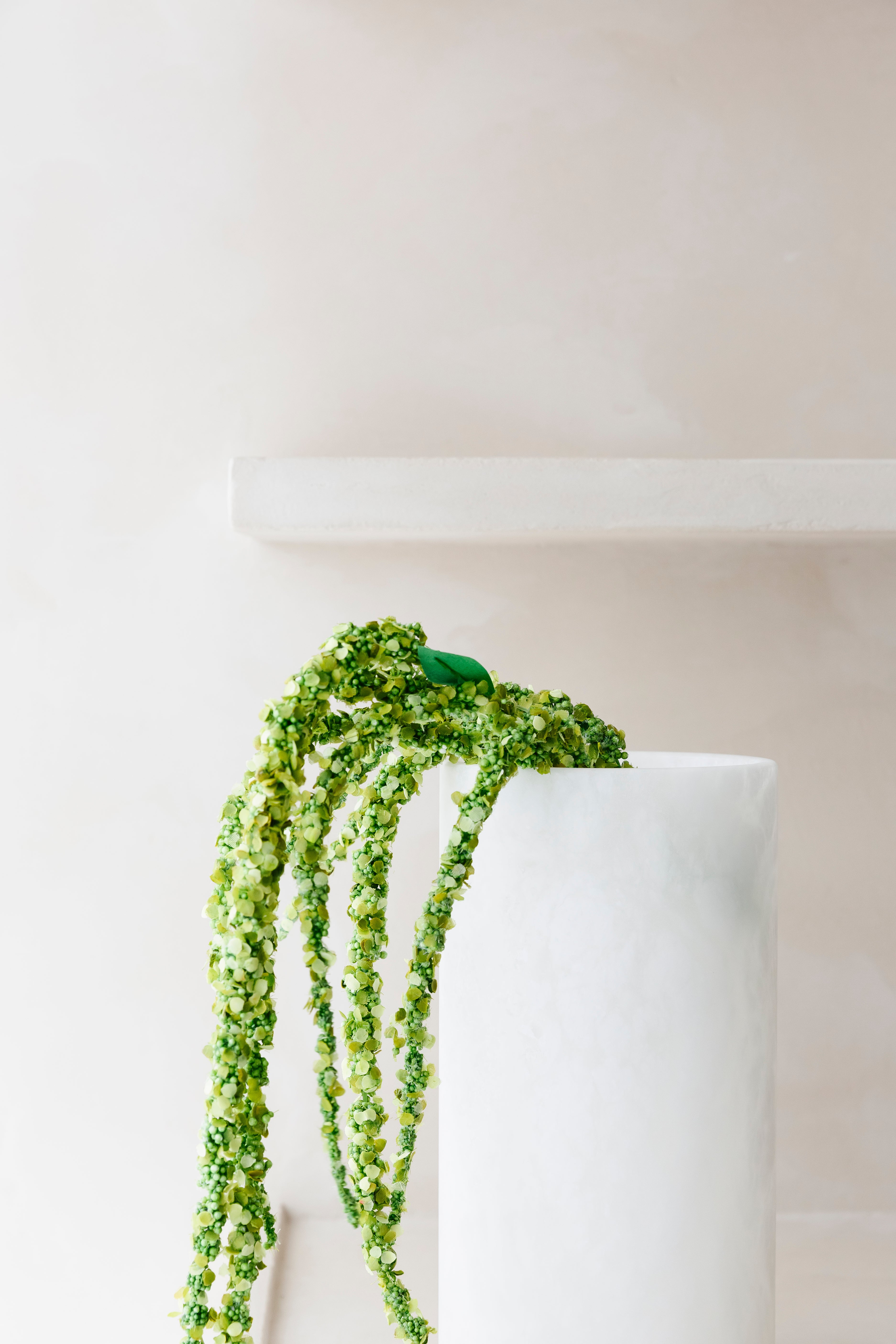 Driestelige Groene Amaranthus - Tak