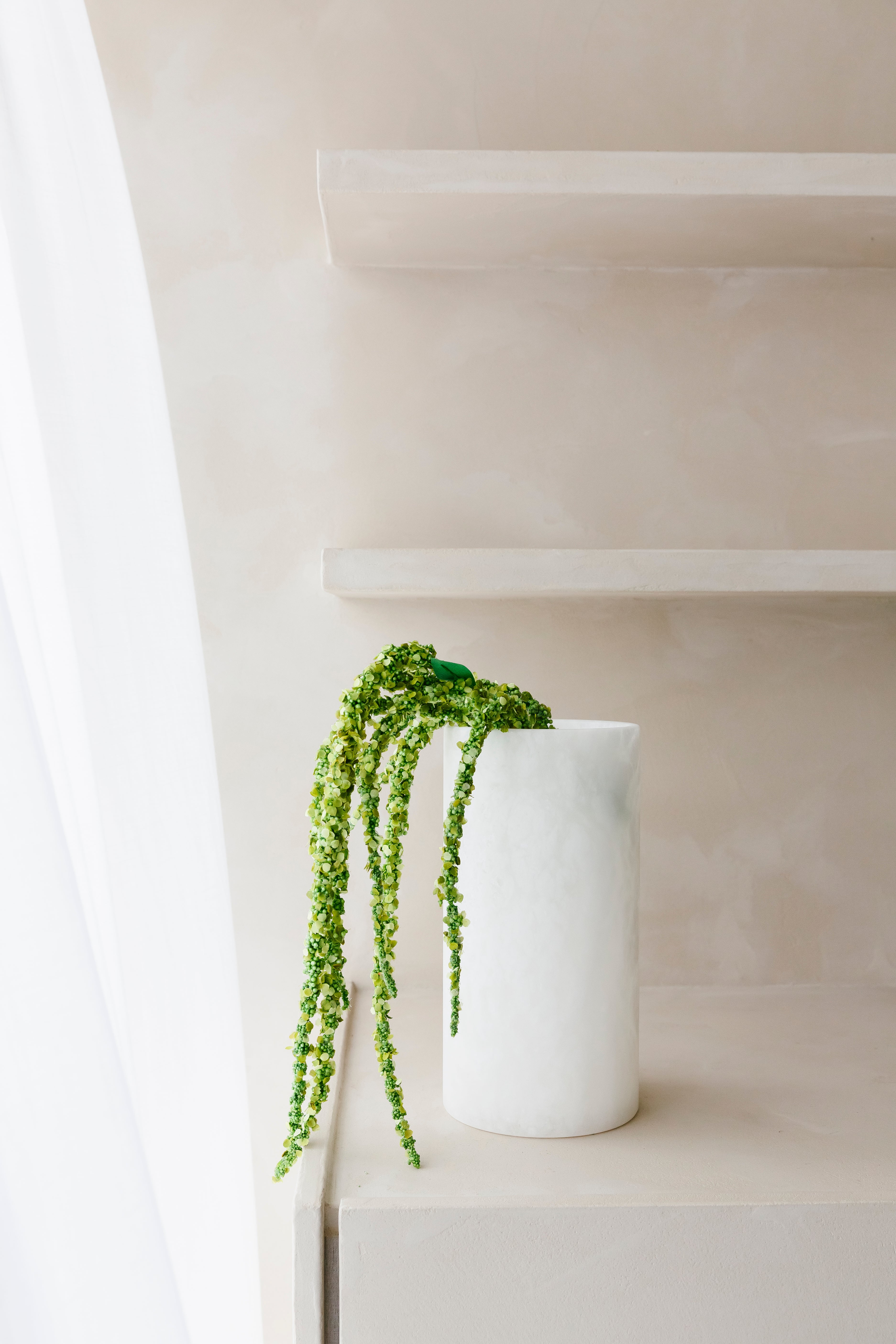 Driestelige Groene Amaranthus - Tak