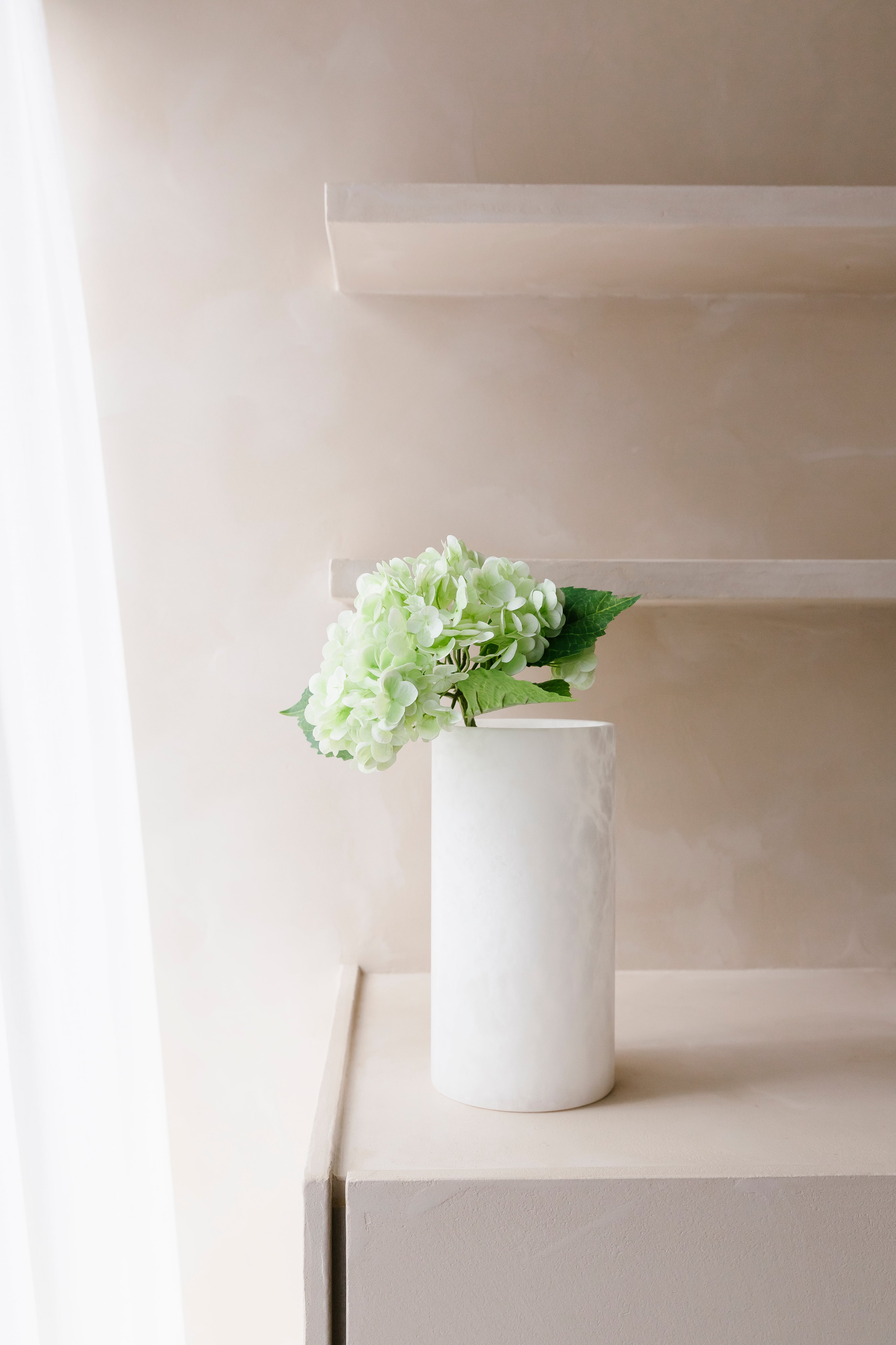 HORTENSIA - Bloem