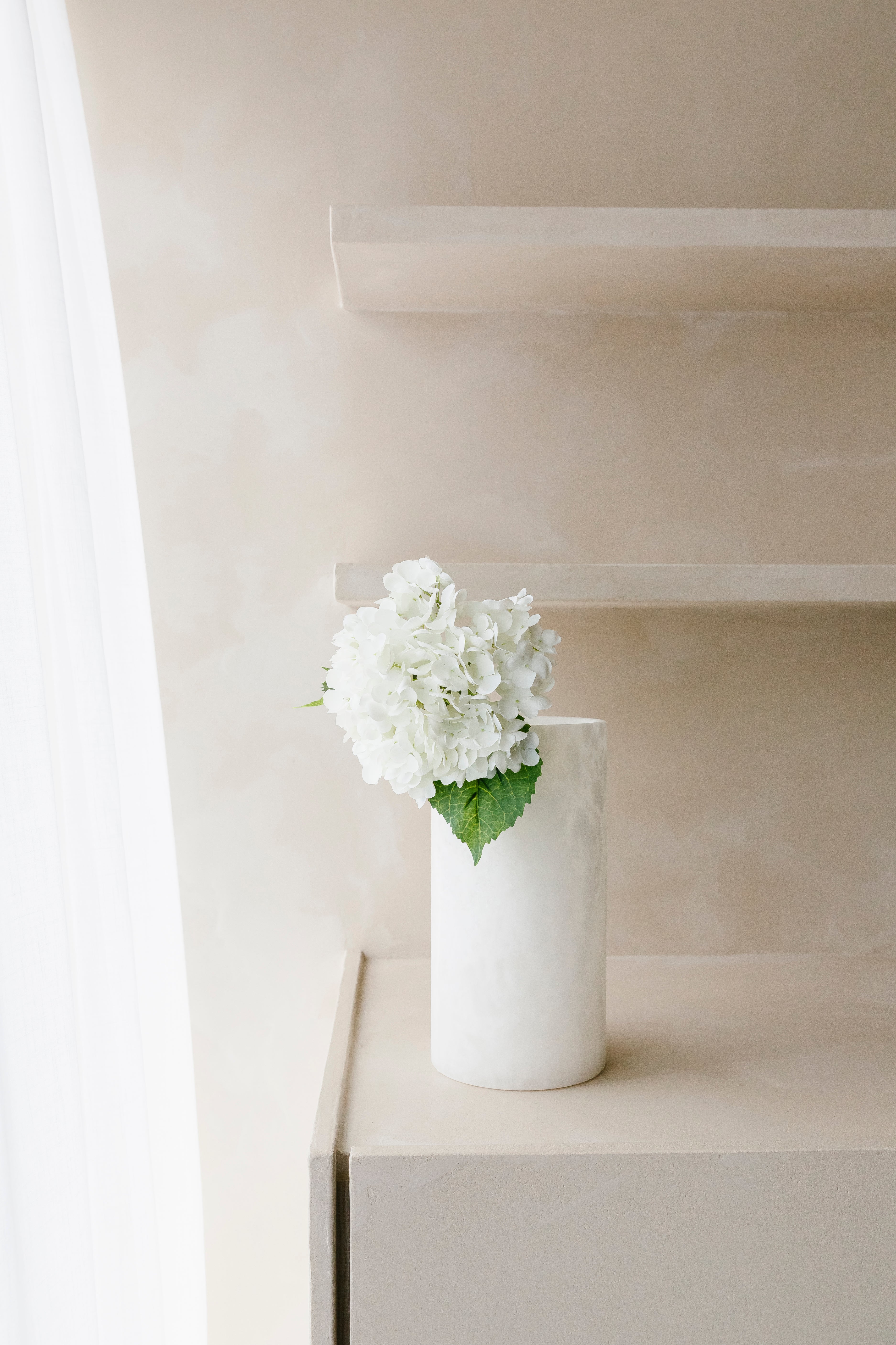 HORTENSIA - Bloem