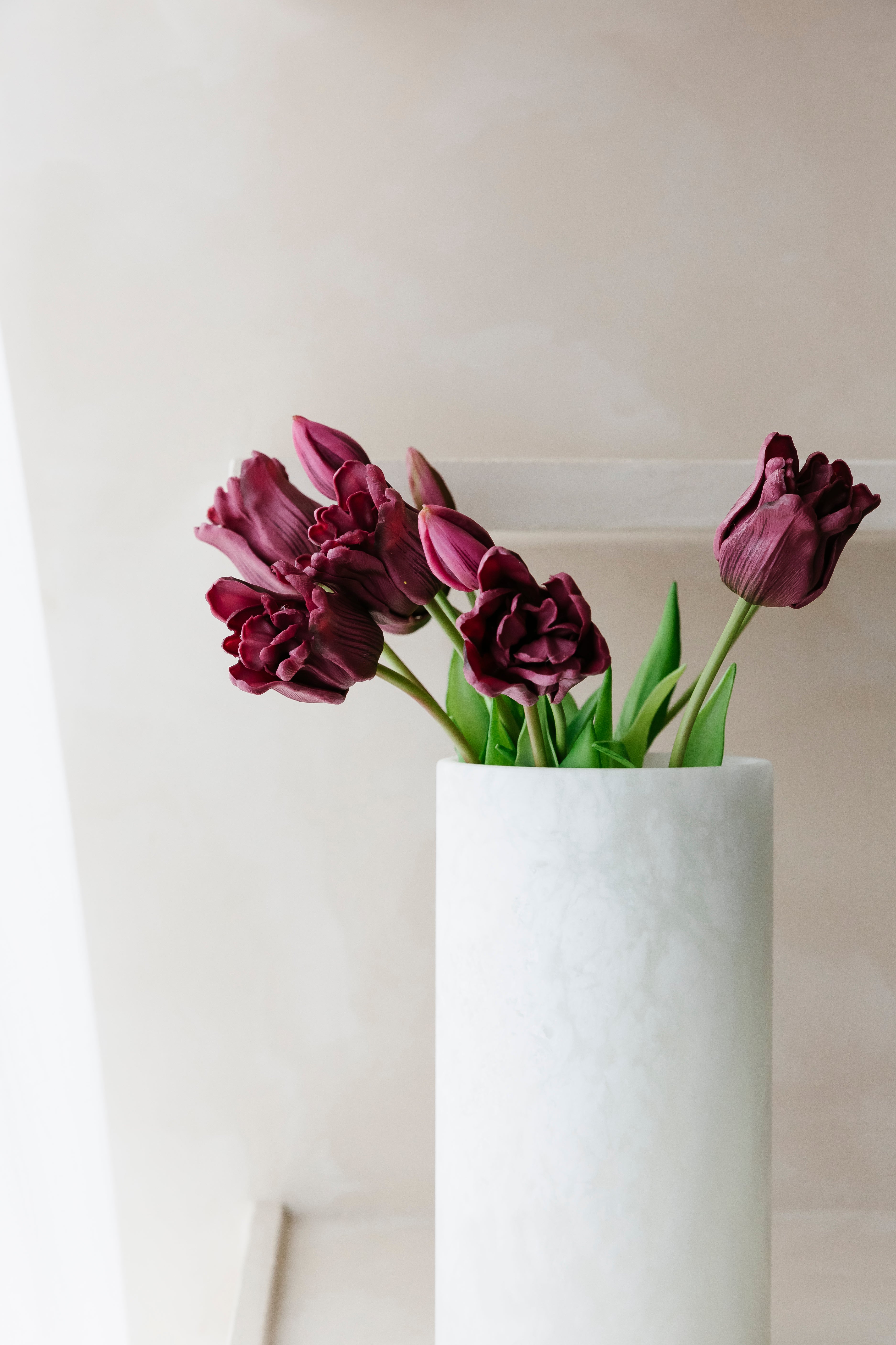 Tulpen Truimph - Boeket
