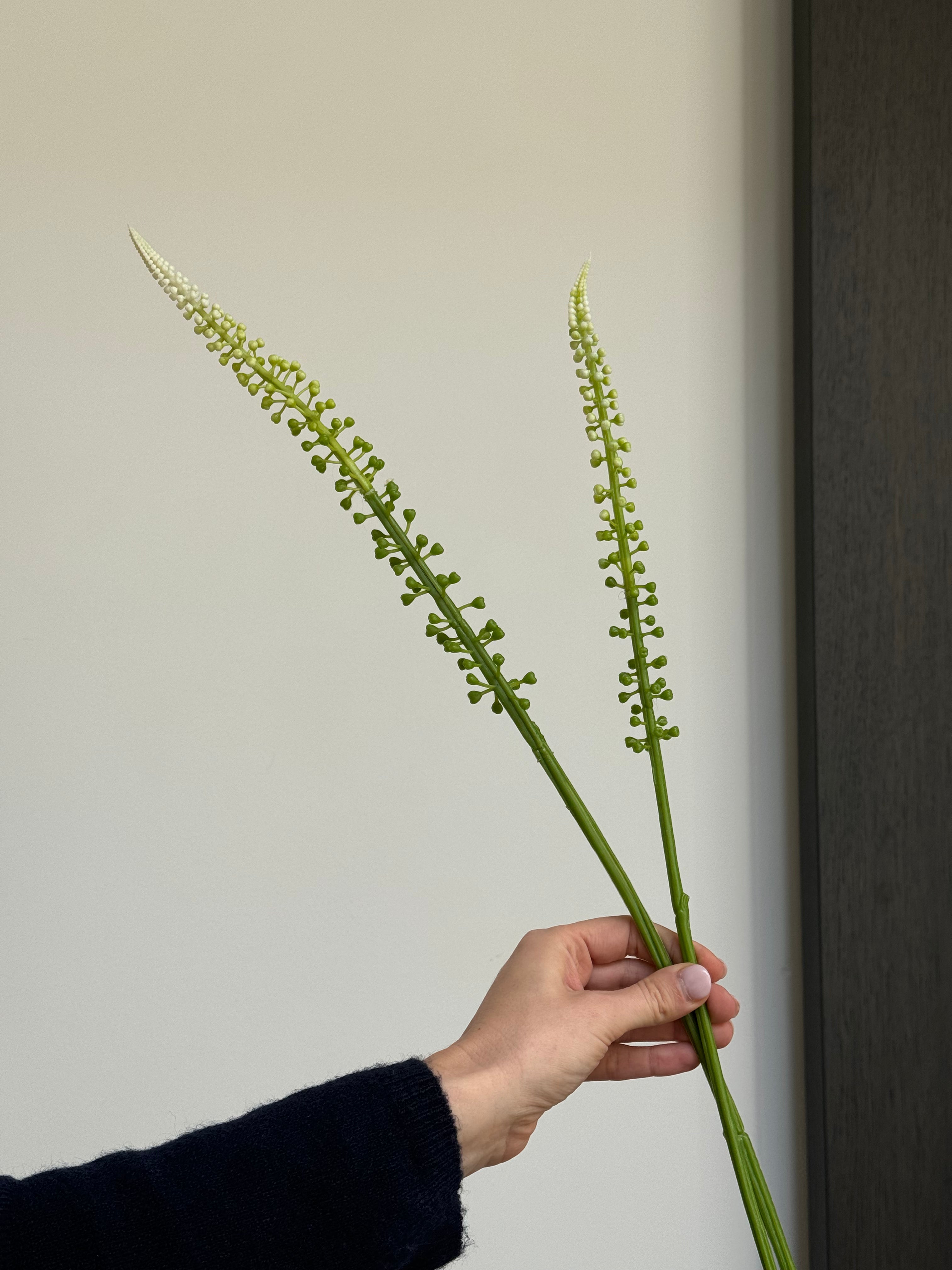 Witte Actaea Racemosa zijden bloem met langgerekte bloeiaren en groene steel van 75 cm.